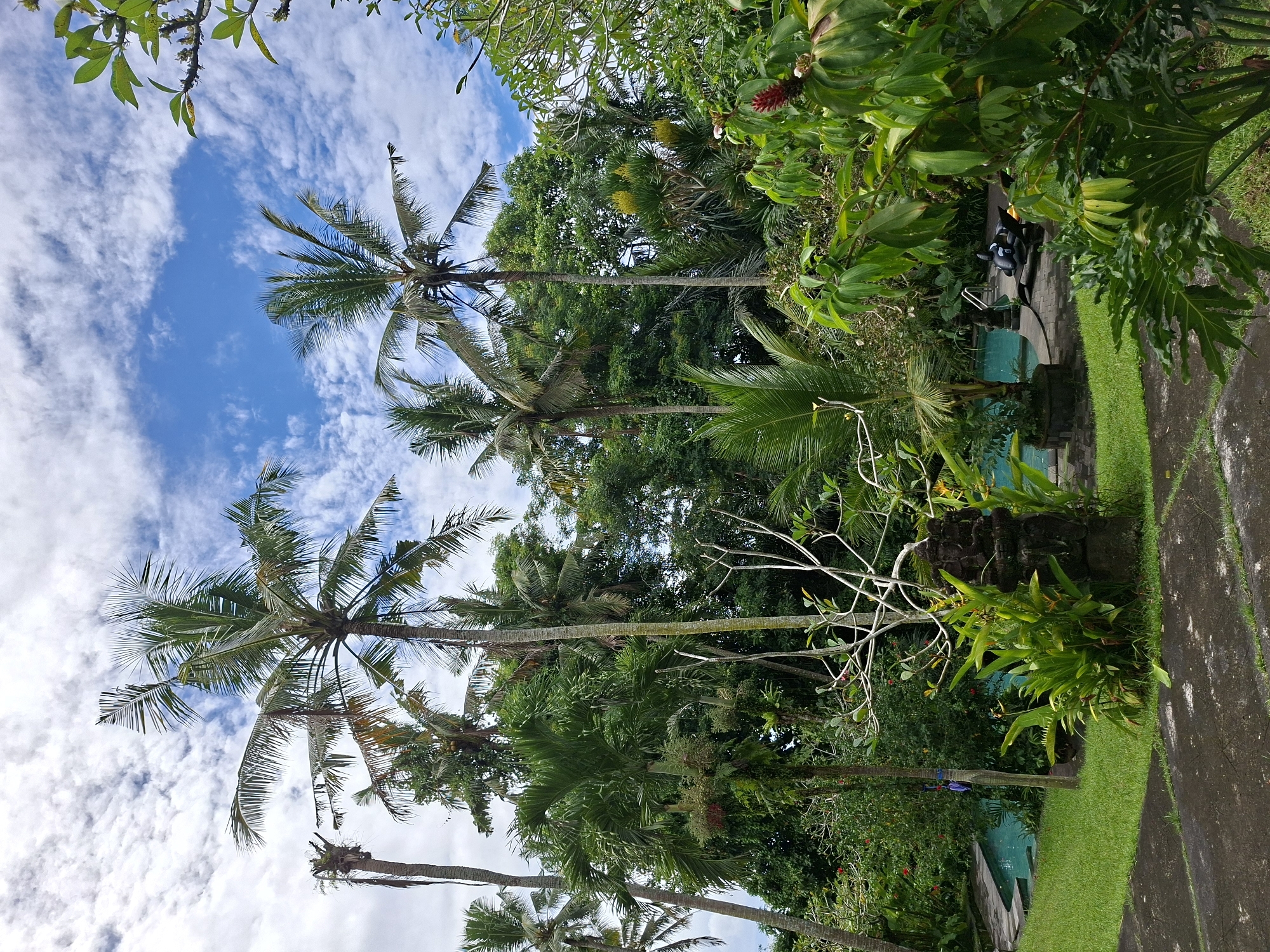 The image depicts a landscape in the Ubud District of Indonesia. Several tall palm trees rise towards a partly cloudy blue sky. Lush green vegetation, including other trees, shrubs, and flowers, flanks a pathway made of concrete or stone. Near the path, glimpses of a swimming pool can be seen, with items such as a black inflatable pool toy visible near it. The overall impression is that of a tropical setting, possibly a garden or resort.