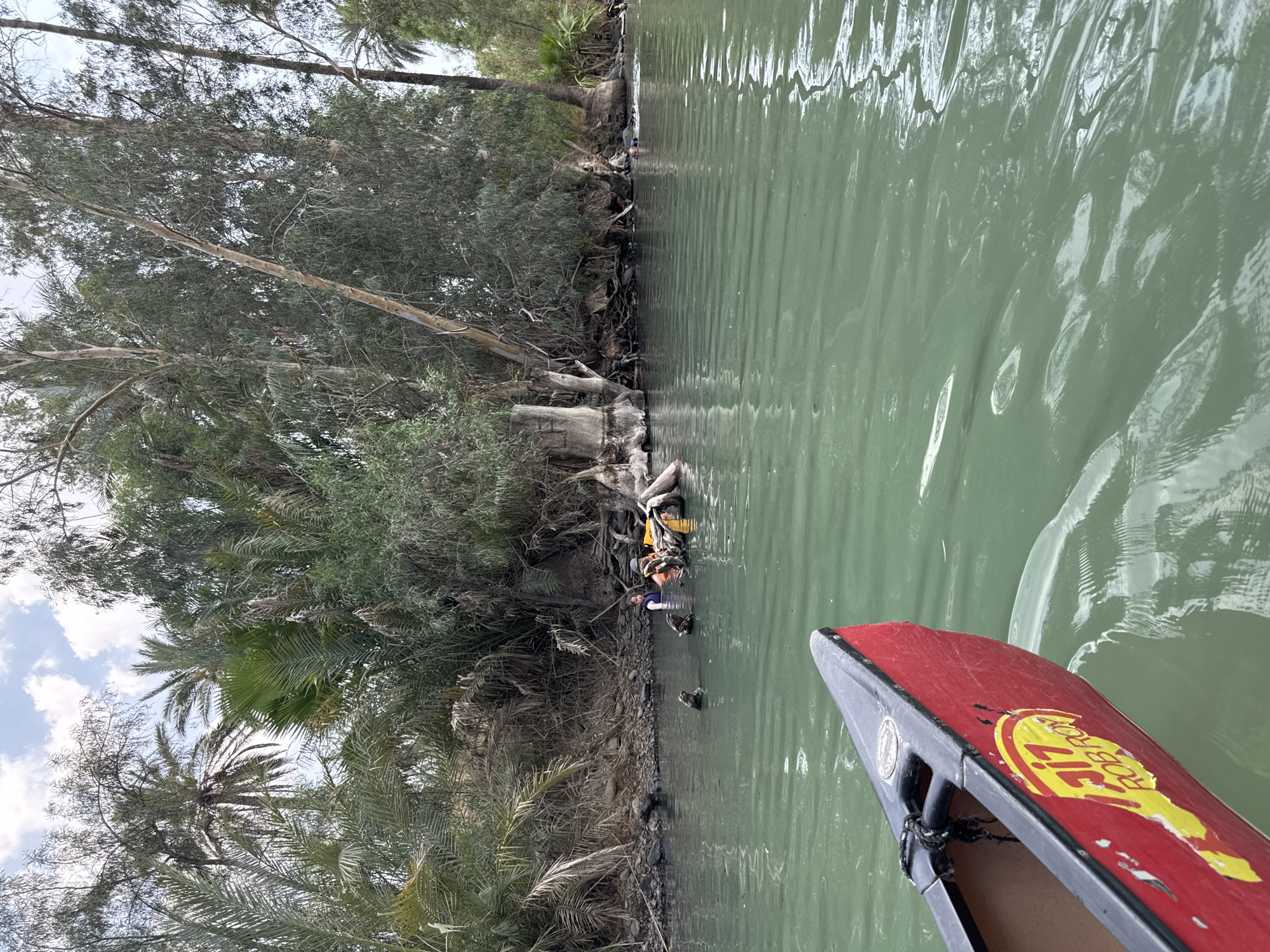 The image shows a group of people swimming and wading in a shallow, greenish body of water that appears to be a river. The riverbank is lined with dense vegetation, including palm trees and eucalyptus trees, characteristic of the Emek HaYarden Regional Council in Israel. In the foreground, the bow of a red canoe with a "ROB ROY" logo is visible, suggesting the presence of recreational activity. Some individuals are wearing life vests, indicating safety precautions. The water is calm with gentle ripples. The scene appears to be a natural setting within a regional council known for its diverse landscapes and water bodies.