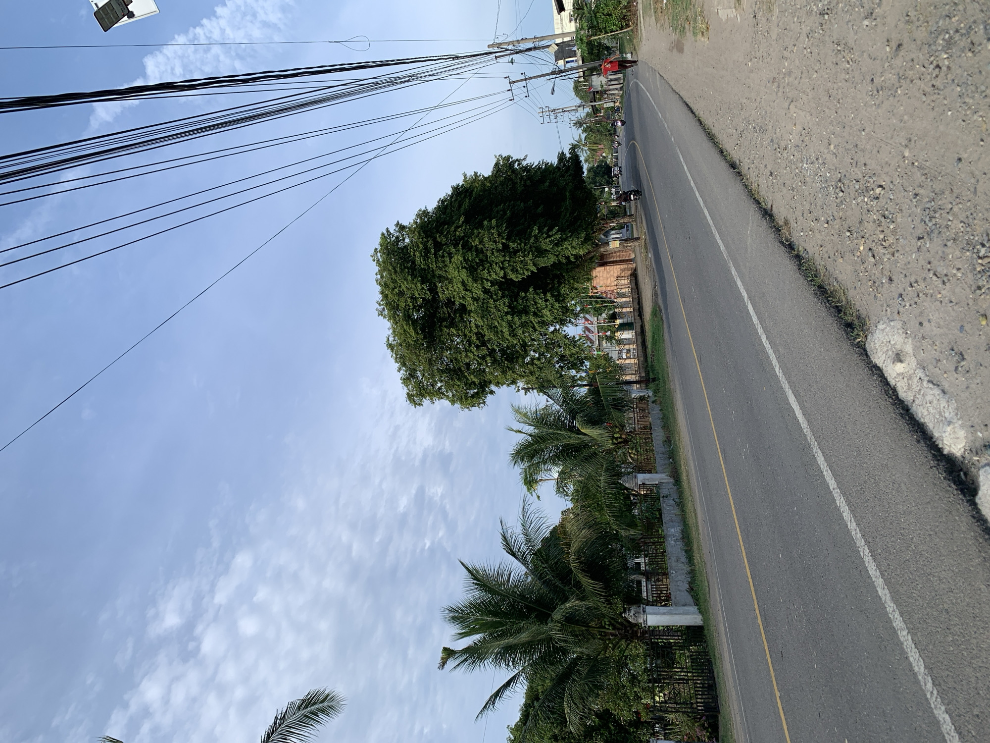 A street scene in Meunasahlhok, Indonesia features a paved road curving to the left, bordered by a sandy, gravelly shoulder on the right and a fence with palm trees and greenery on the left. Overhead, a dense network of power lines stretches across a partly cloudy blue sky. A large, leafy green tree stands prominently near the road on the left side. Several motorcycles are visible on the road, and a person in a red shirt is walking on the shoulder on the right. Buildings and more trees are visible in the background, suggesting a semi-rural or suburban environment. The lighting indicates it is daytime, possibly late afternoon.
