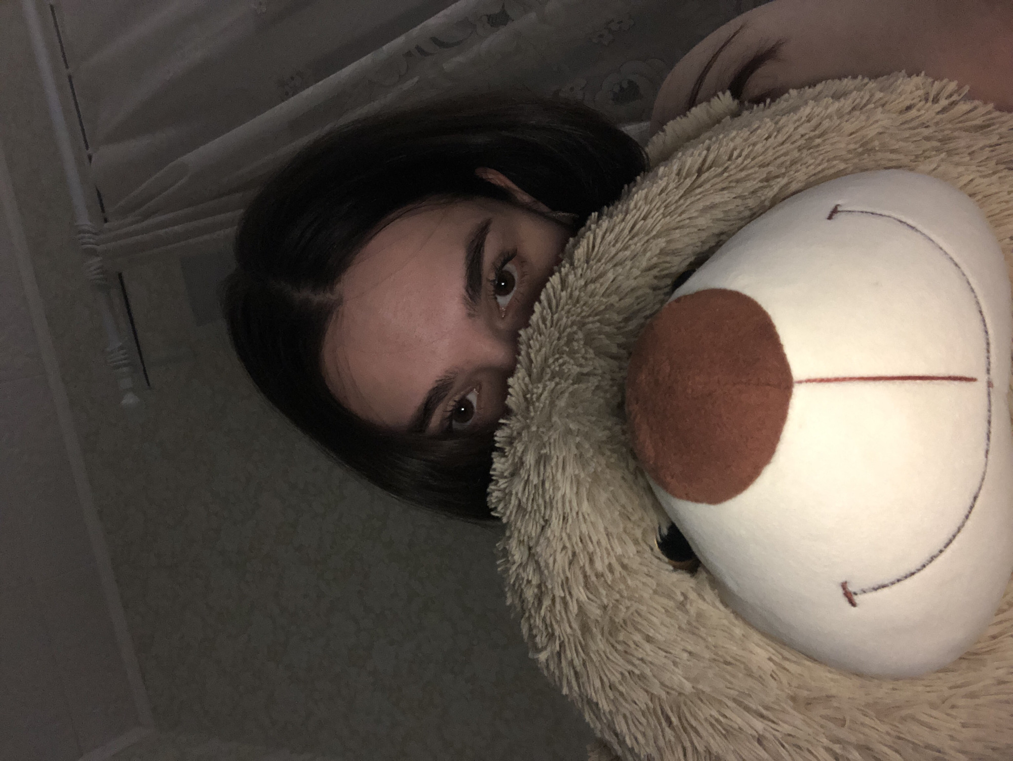 A person with dark hair is lying down, partially obscured by a large, tan, fluffy teddy bear with a brown nose. The person's eyes are visible, and they are looking directly at the camera. The background appears to be a dimly lit room, with wallpaper visible. The location in the city of Noviy, Russia, cannot be determined from this image.