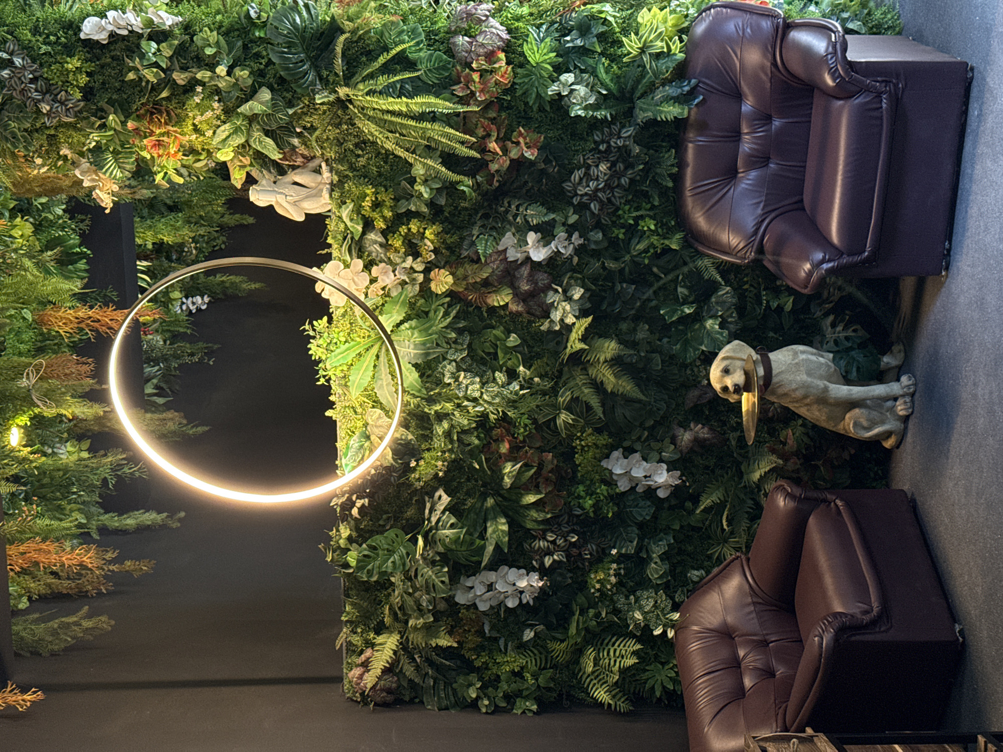 The image depicts an indoor scene featuring two plush, dark brown leather armchairs flanking a dense wall of artificial greenery. A golden retriever statue, wearing a collar and holding a small brass tray in its mouth, sits between the armchairs. Above the greenery, a circular LED light fixture hangs, casting a warm glow. The background is a dark, textured wall. The overall impression is of a cozy, lounge-like setting, possibly within a cafe or bar in the Ko Samui District of Thailand, given the tropical-themed decor.