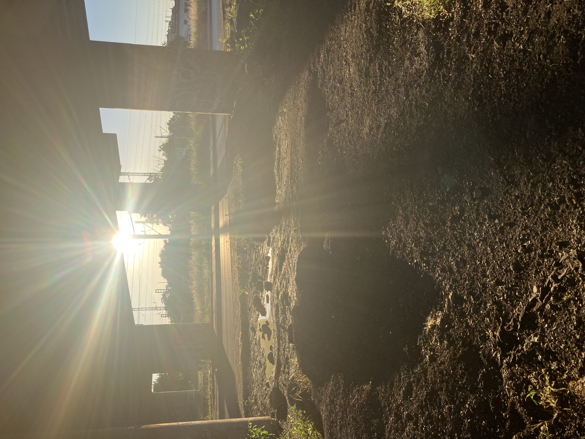 The image captures a sunlit scene through the skeletal remains of a building structure. Bright sunlight filters through the openings, obscuring details in the background. The foreground consists of dark, rough ground, possibly muddy or overgrown with vegetation. The structural elements, likely concrete, frame the view outwards. Beyond the frame, electrical poles and greenery can be seen, suggesting an urban or suburban setting on the outskirts of town. The building location is in the industrial area near the Maritsa river, east of Plovdiv, Bulgaria.