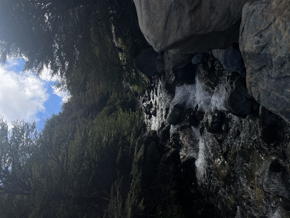 A vibrant stream cascades over rocks alongside lush vegetation. Large boulders frame the view, casting shadows on the water. On the left, trees reach up toward the sky with patches of blue and white clouds visible. The scene captures the dynamism of flowing water contrasting with the stillness of rocks and the vitality of the surrounding foliage.