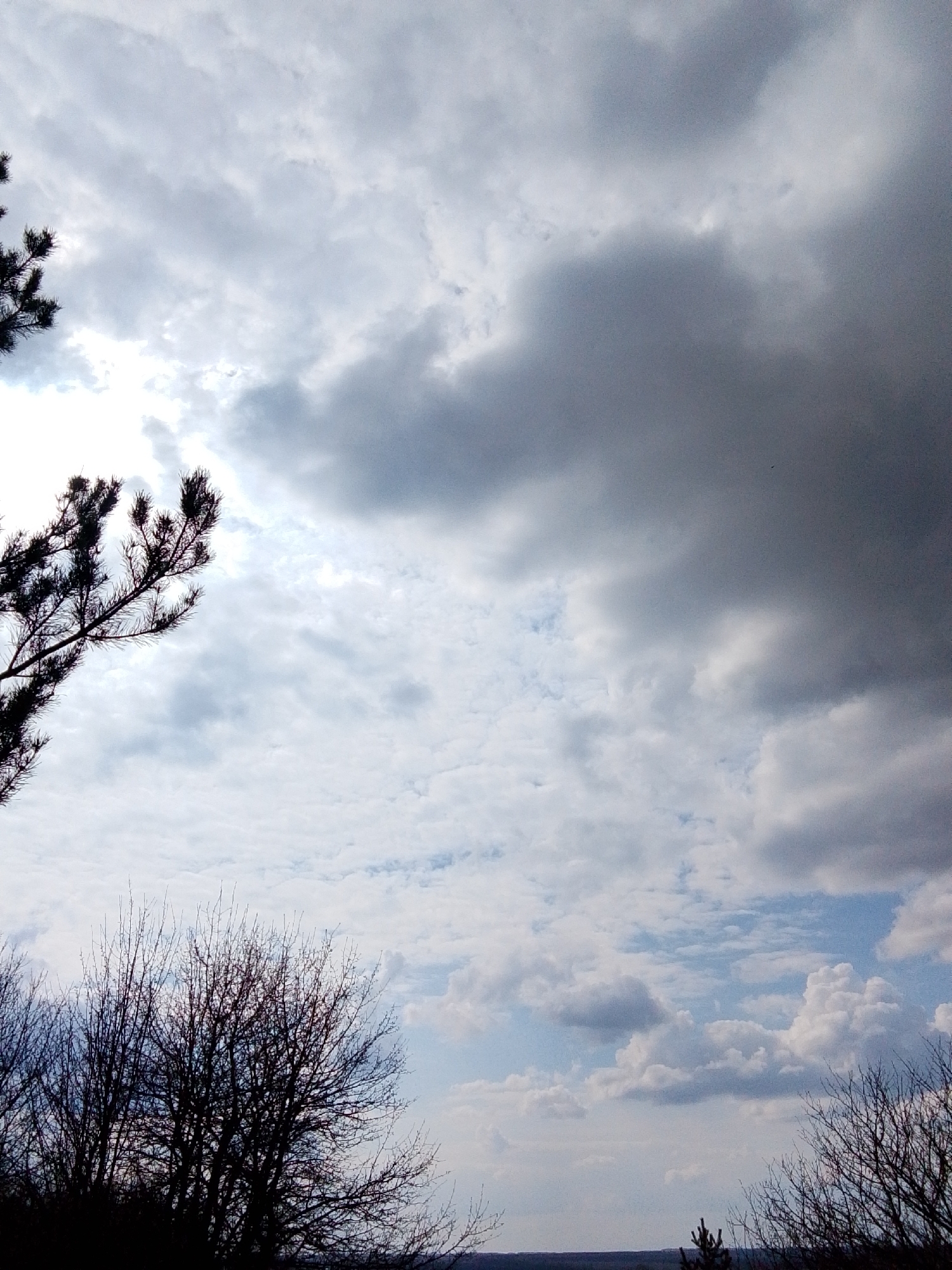 The image captures an overcast sky dominated by dramatic cloud formations over a natural landscape in Khlevnoye, Russia. The upper right portion of the sky is filled with a large, dark, and heavy cloud mass, suggesting impending weather or a stormy atmosphere. In contrast, the left and lower parts of the sky feature lighter, broken white and grey clouds, with patches of brighter sky indicating where the sun is partially breaking through, particularly on the mid-left side.
In the foreground, silhouetted tree branches frame the scene. On the far left, a section of a pine tree with distinctive needles is visible, its dark form stark against the bright sky. Along the bottom edge and rising slightly on the left and right, the intricate, bare branches of deciduous trees are silhouetted, indicating a time of year when leaves have not yet emerged, likely late winter or early spring. A faint horizon line with distant land is visible beneath the trees at the very bottom. No human figures, animals, or specific activities are present. The scene conveys a sense of natural tranquility and the grandeur of the sky, with the contrasting cloud types creating a dynamic visual. No text is visible in the image.