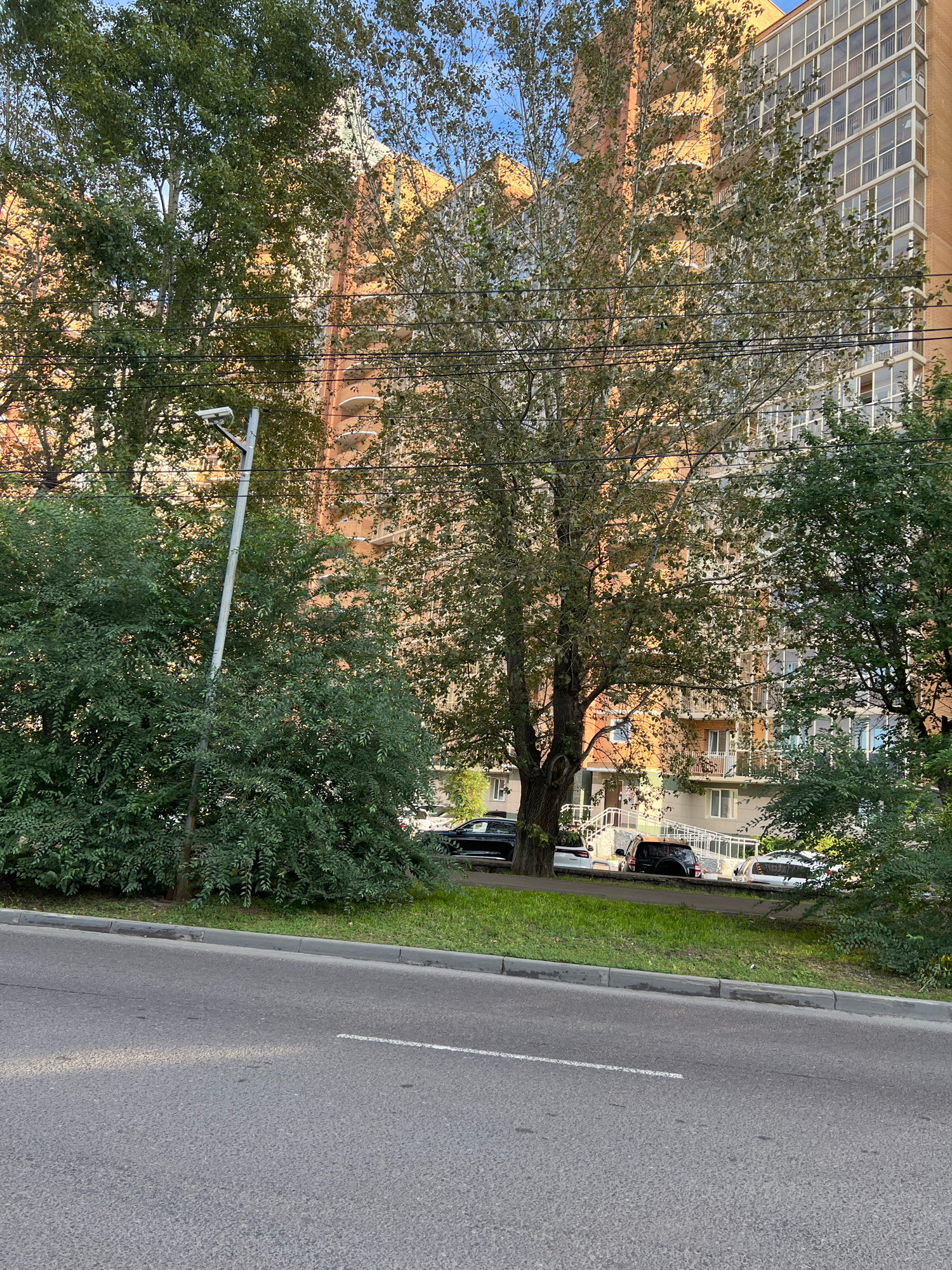 The image shows a street scene in the city of Krasnoyarsk, Russia. A paved road with a white line marking the lane runs across the foreground. A concrete curb separates the road from a grassy area and a sidewalk. Behind the grass, a large building with an orange facade and numerous windows rises up. Several trees, some with dense green foliage and others with sparser leaves, stand between the building and the road. A lamppost with a security camera is visible among the trees. A few cars are parked along the sidewalk in front of the building. The sky above is clear and blue.