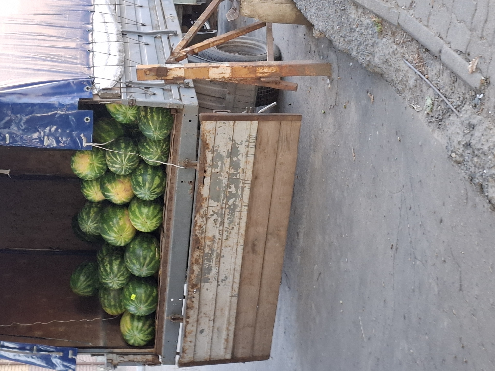 A truck bed is filled with watermelons. The truck is parked on a concrete surface, with a gravel curb visible to the right. The truck bed is made of wood and metal, with a blue tarp covering the top. The watermelons are mostly green with darker stripes, and some have yellow patches. A yellow price tag is visible on one of the watermelons. The scene appears to be outdoors, likely in a market or along a roadside.