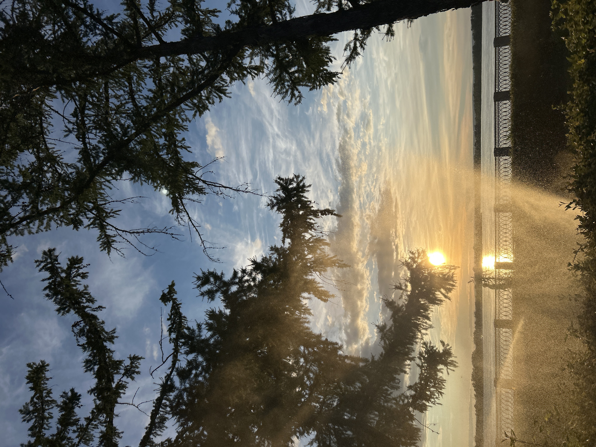 This media file captures a serene natural scene during sunset, likely in Novokuybyshevsk, Russia. The image is oriented vertically, with the foreground dominated by the silhouettes of pine trees framing the view. The trees, with their dark needles and bare branches, create a natural border, drawing the viewer's eye towards the expansive sky and body of water in the background.
The sky is a canvas of warm hues, transitioning from a soft blue at the top to vibrant yellows and oranges as it nears the horizon, indicative of a sunset. Wispy clouds are scattered across the sky, catching the golden light and adding texture and depth to the scene. The sun itself is visible, a bright orb reflecting off the water and casting a warm glow over the entire landscape.
In the distance, a body of water, possibly a river or lake, stretches across the frame, its surface shimmering with reflected sunlight. Along the edge of the water, there's a decorative metal fence, suggesting a park, promenade, or landscaped area. The fence features an intricate pattern of interconnected oval shapes.
A notable detail is the presence of water droplets or mist in the air, particularly on the right side of the image, creating a diffused, hazy effect that softens the light and adds a touch of magic to the scene. This could be from a sprinkler system, a fountain, or natural mist. The overall emotion conveyed is one of tranquility and natural beauty, enhanced by the soft lighting and the gentle interaction of elements like trees, water, and light. The time of day is clearly sunset, and the weather appears to be clear with some cloud cover. There is no visible text in the media file.