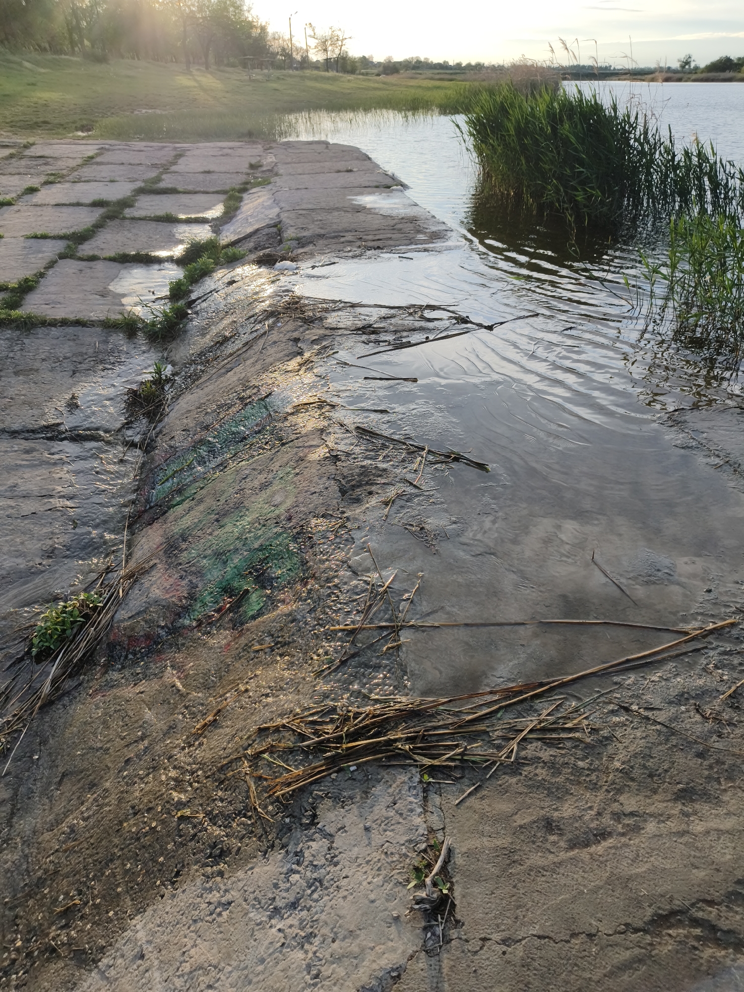 The image depicts a waterscape adjacent to a concrete structure. The location is Shyroka Dacha, Ukraine. The water level is high, partially submerging the concrete structure. Patches of green vegetation grow within the concrete joints. The water surface is disturbed by a small current and sparse debris. Reeds grow along the water's edge in the background. The lighting suggests a time near sunrise or sunset. The concrete appears aged, with visible wear and some discolored patches. There are no people visible in the image.