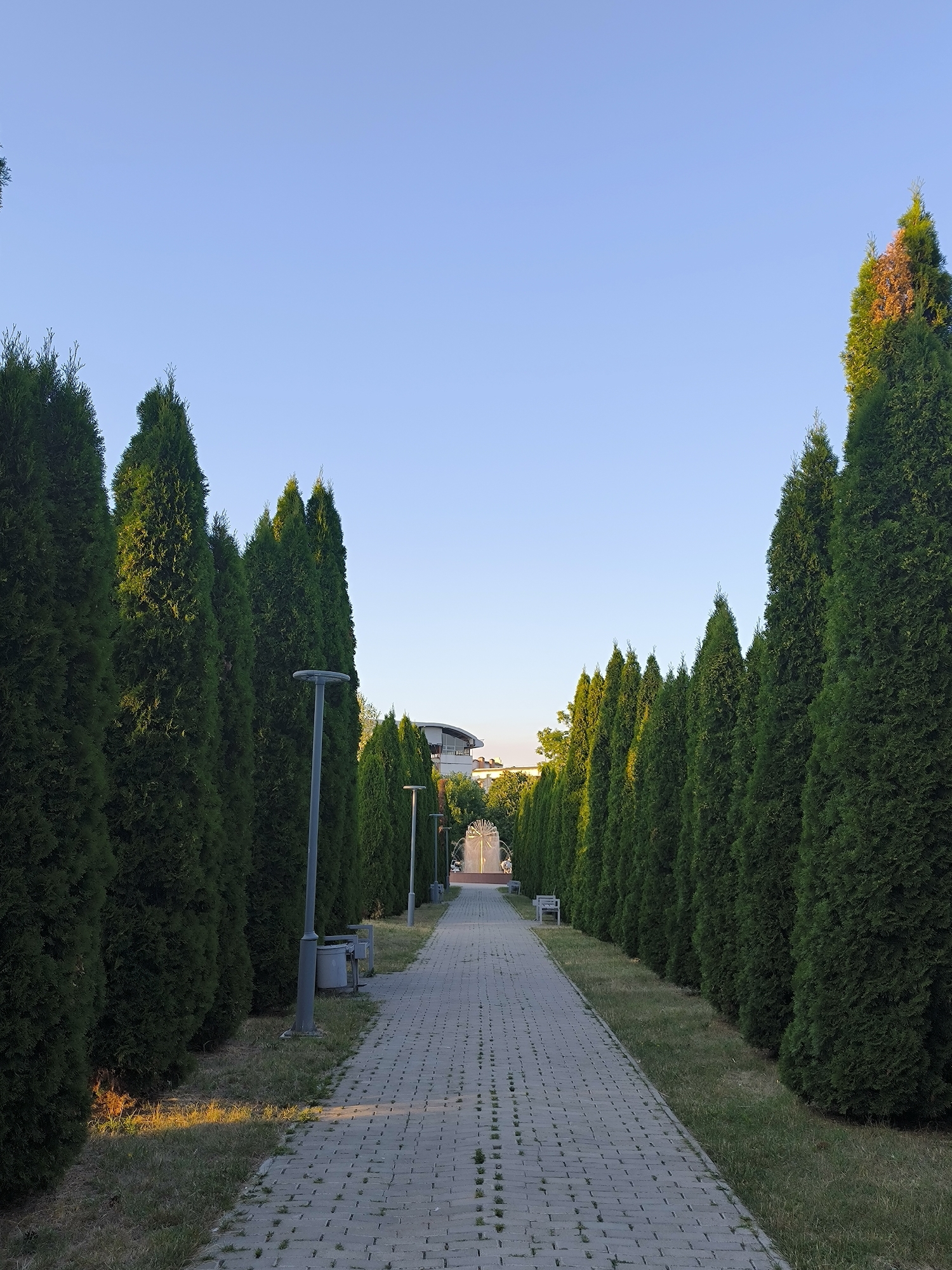 The image depicts a symmetrical pathway lined with tall, manicured evergreen trees on either side, creating an avenue effect. The pathway is paved with grey interlocking bricks and leads towards a distant structure with a curved roof. Several modern, minimalist lampposts are spaced along the left side of the path. In the background, a fountain or decorative water feature is visible, partially obscured by trees. The scene is set under a clear, pale blue sky, suggesting it is daytime with good weather. The lighting indicates either early morning or late afternoon, casting a warm glow on the foliage of some trees. There are no people or animals visible in the frame. The overall impression is one of a well-maintained public space, possibly a park or a public garden within the city of Chișinău, Moldova.