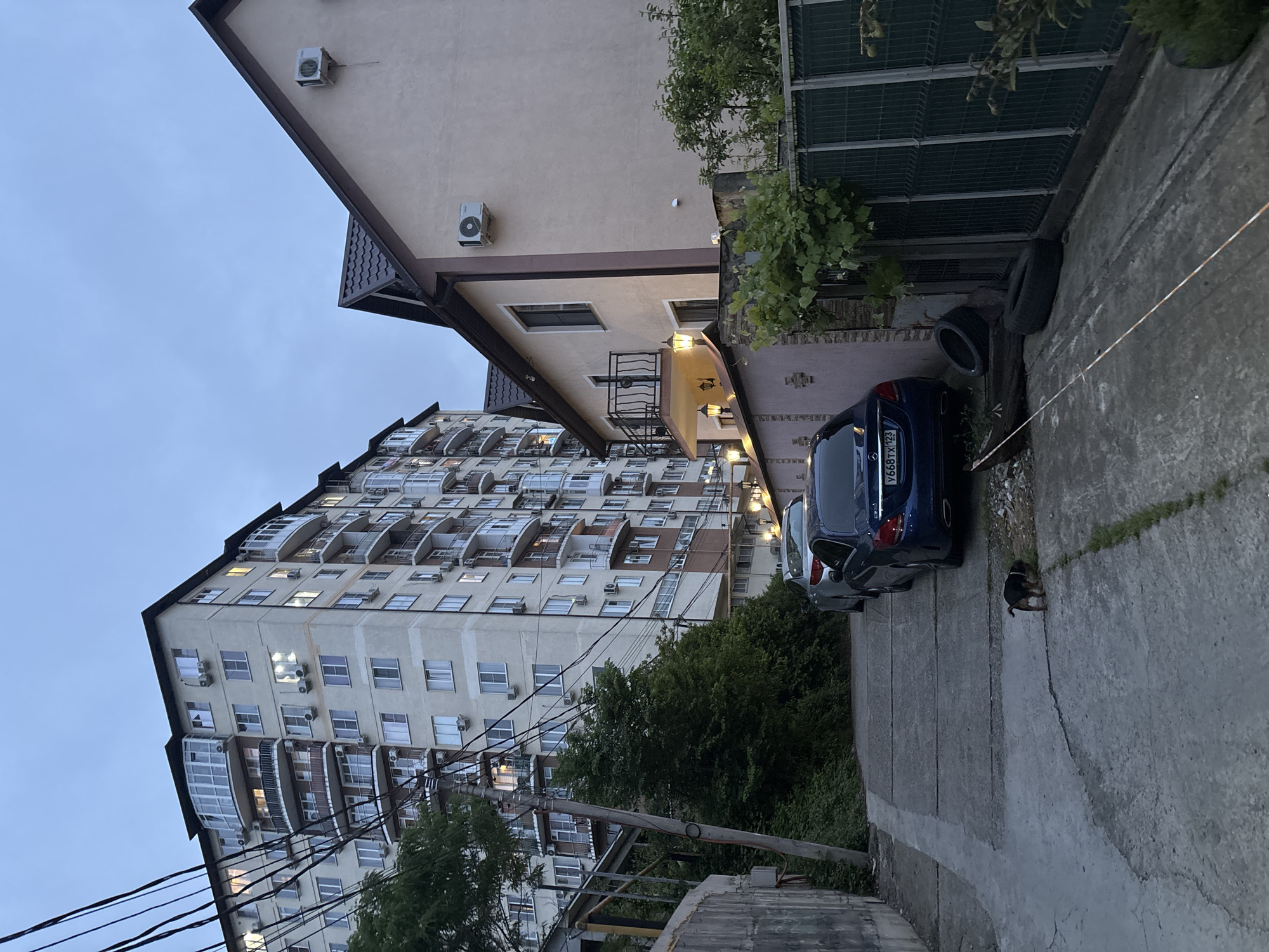 The image depicts a street in Sochi, Russia, at dusk. A tall apartment building with numerous balconies and air conditioning units is visible on the left. A two-story building stands on the right, illuminated by exterior lights. Two cars are parked along the right side of the street. Two tires lean against a fence near the cars. A small dog is situated on the concrete sidewalk. Overhead power lines run across the scene.