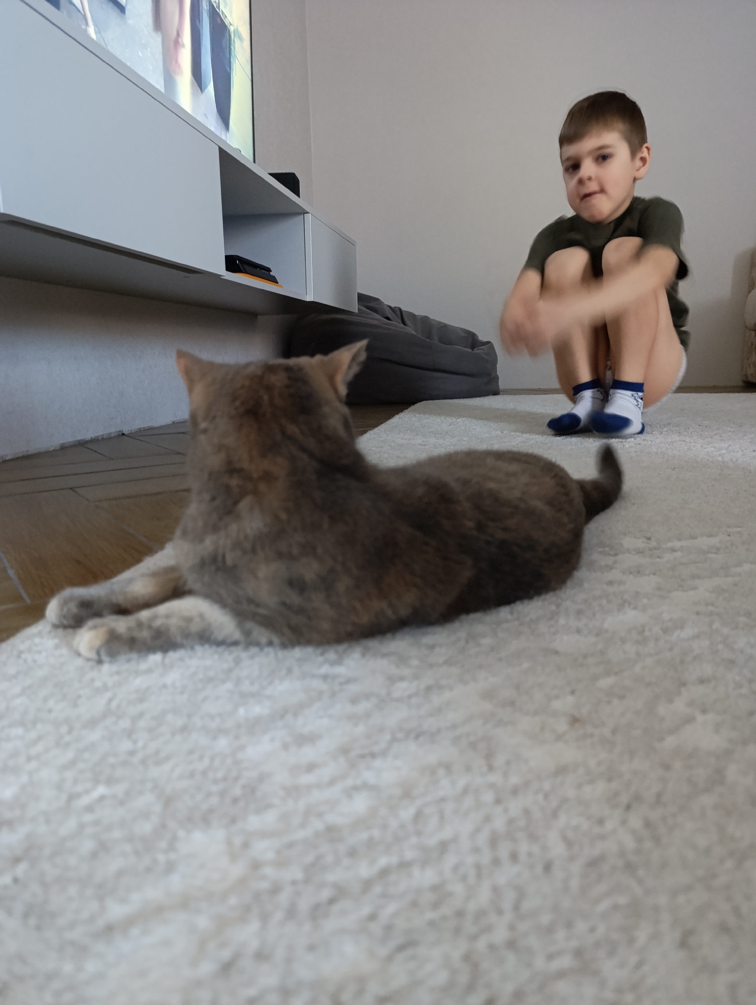 A boy in a green t-shirt and blue socks sits cross-legged on a light-colored carpet. He is facing the camera with his arms crossed and his knees drawn up to his chest. Behind him is a grey dog bed. In front of him is a cat lying on the carpet. The cat is facing away from the camera and is mostly grey with brown spots. In the background is a white media console. The location is Chaikovsky, Russia.