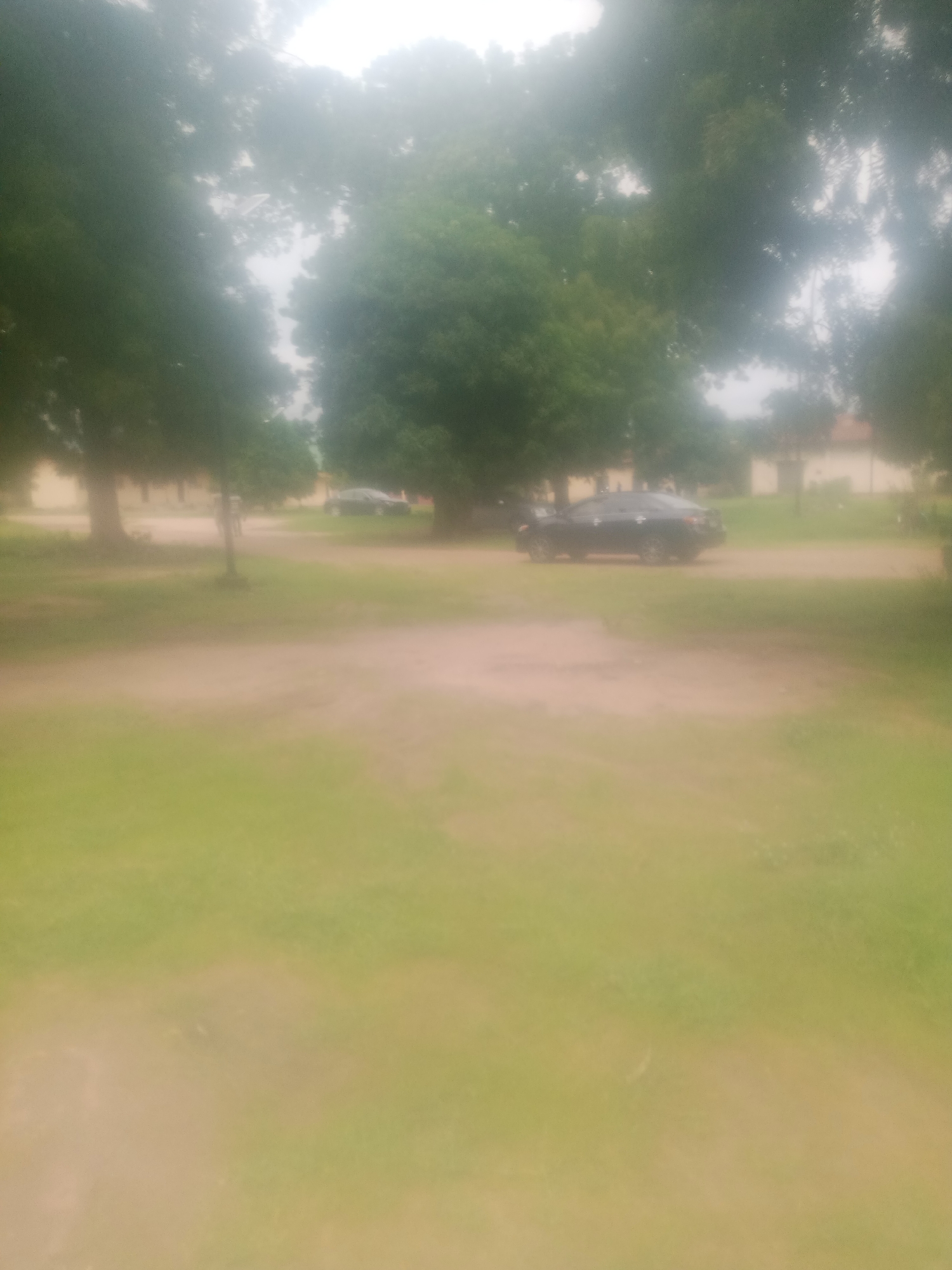 The image depicts an outdoor scene that appears to be a park or open area with green grass and trees. In the background, there are buildings and a dark-colored car is visible on a dirt path. The overall image is blurry, suggesting it may have been taken with a low-resolution camera or in low-light conditions. The scene is consistent with various locations in Jalingo, Nigeria, which is known for its green spaces and local architecture.