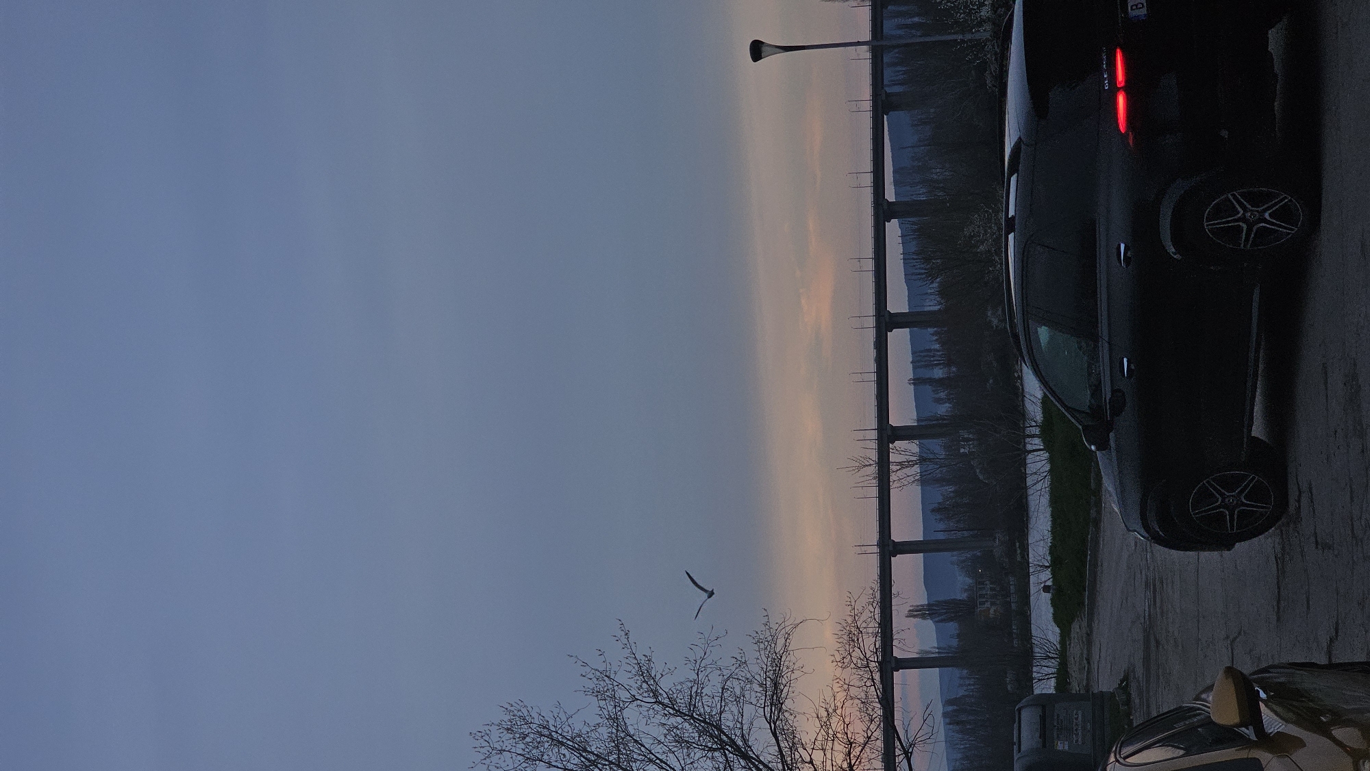 The image depicts a dusk scene in Varna, Bulgaria. A multi-span bridge stretches across the frame, illuminated by the sunset. Below the bridge, glimpses of water and distant hills are visible. A bird is flying across the sky.
A black car, partially occupying the right side of the frame, has its brake lights illuminated. A section of a parked yellow car is visible at the bottom. The scene is captured from an elevated position, overlooking a street.