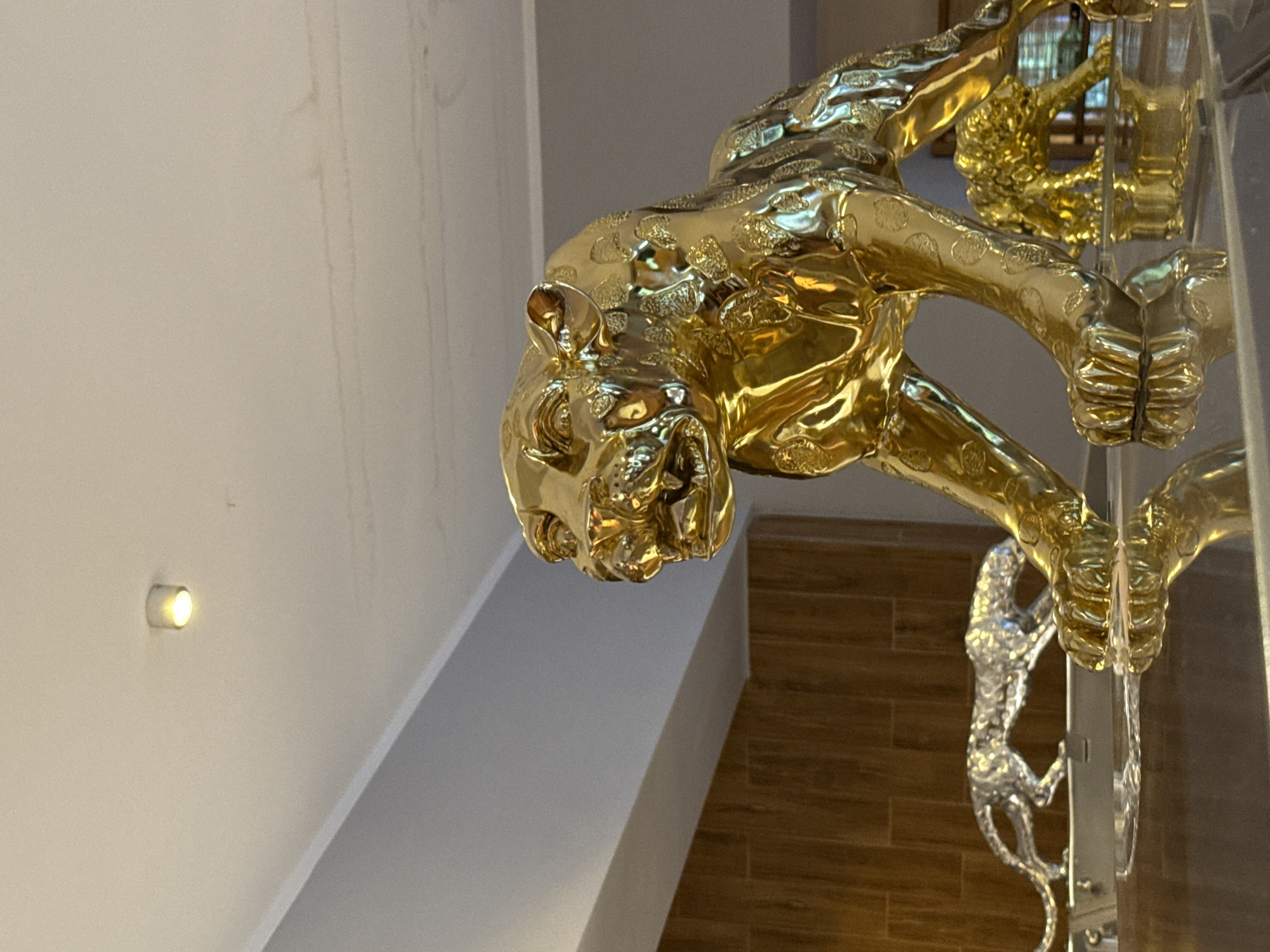 The image shows several shiny, golden leopard statues. One large statue is in the foreground, facing left with its mouth open. Another, smaller golden leopard is behind it, crouched down. In the background, a silver leopard statue walks from left to right. The statues appear to be on a reflective surface, possibly a table or shelf. The room has a white ceiling with a light fixture, and a wooden-paneled wall in the background. The lighting is warm and reflects off the metallic surfaces of the statues. The scene is indoors and appears to be a decorative display. The location is not specified in the image itself.