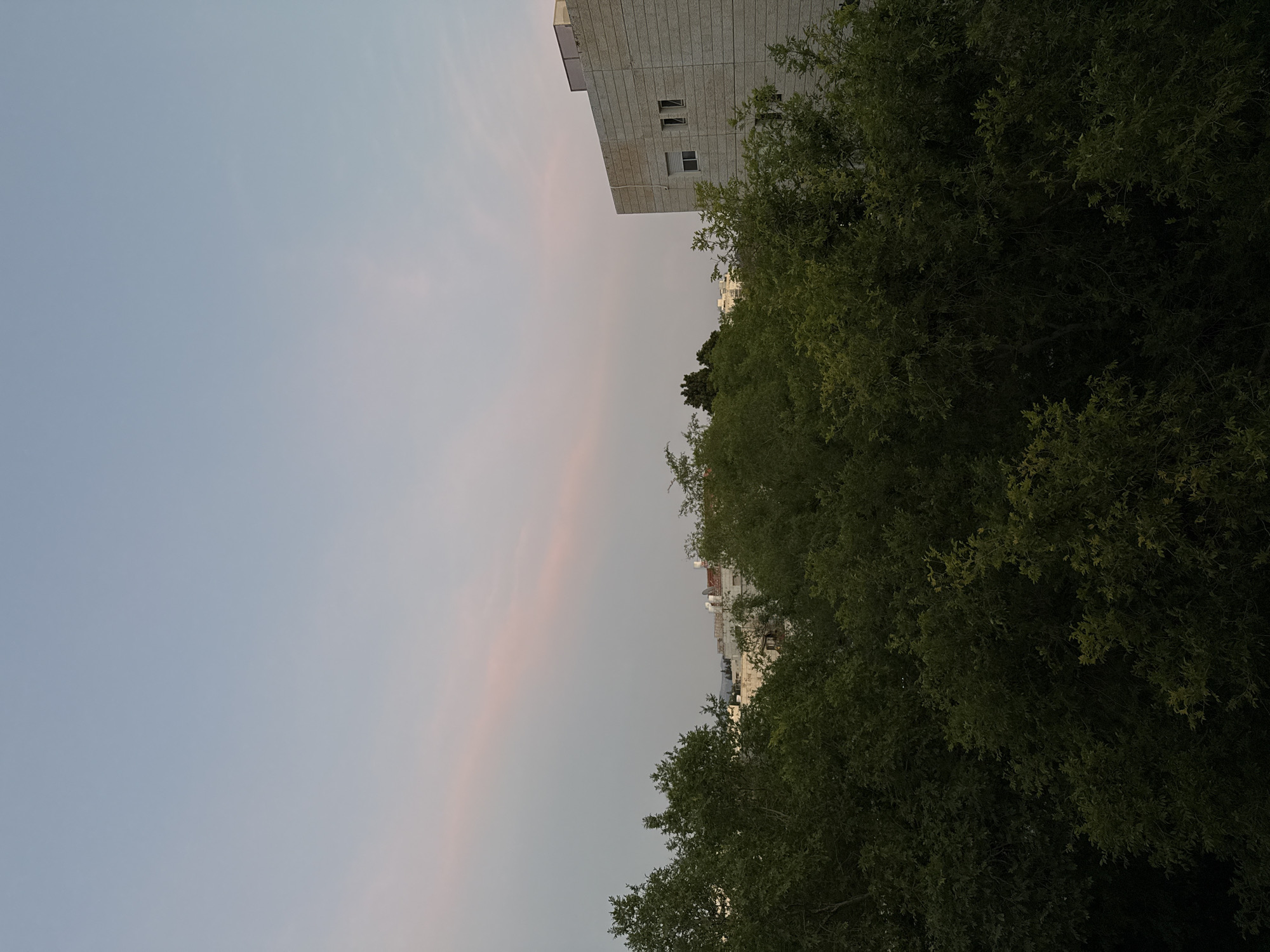 A medium shot of the evening sky over Modiin-Maccabim-Reut, Israel. The sky is a light blue-gray color with faint pink streaks. The top corner of a light gray building with windows is visible at the top right. A large tree with dark green foliage fills much of the right side of the frame. The tops of other buildings can be seen in the distance between the tree and the building.