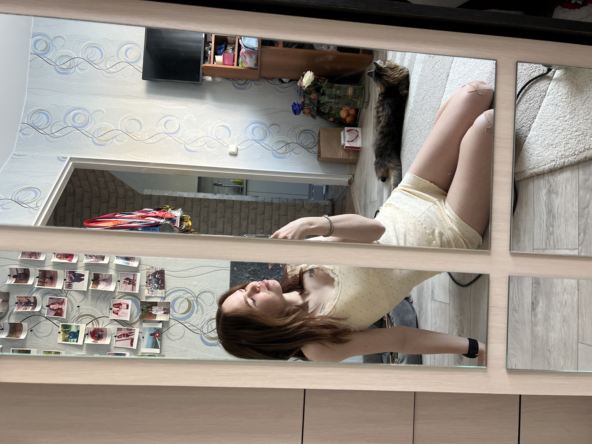 The image shows a reflection in a grid-style mirror. The mirror reflects a scene inside what appears to be an apartment. A woman is visible in the lower center of the frame, presumably taking the photograph. She has brown hair and is wearing a light yellow top. A cat is visible in the upper right quadrant of the mirror. Other details in the reflection include a television, a shelf, flowers, and a rug. Photographs are mounted on the wall in the lower left corner of the mirror. Based on information gathered from external sources, it is most likely that the location is Chaikovsky, Russia.
