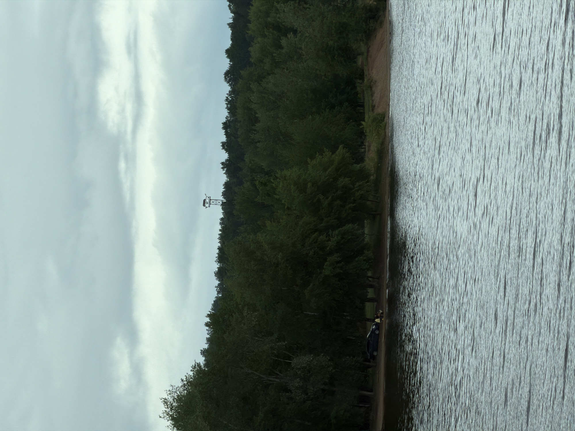 The image presents a landscape scene in Noviy, Russia, under an overcast sky. The lower half of the frame is dominated by a body of water, likely a lake, displaying small ripples across its surface. A narrow strip of sandy and earthen shoreline separates the water from a dense forest that extends across the midground. On the left side of the shoreline, a dark-colored sedan is parked under the canopy of trees, and two individuals are seated on the ground near the vehicle. The forest consists of mature trees with dark green foliage. In the distant background, above the treeline and slightly left of center, a tall metal lattice tower is visible against a uniformly cloudy sky that fills the upper portion of the image.