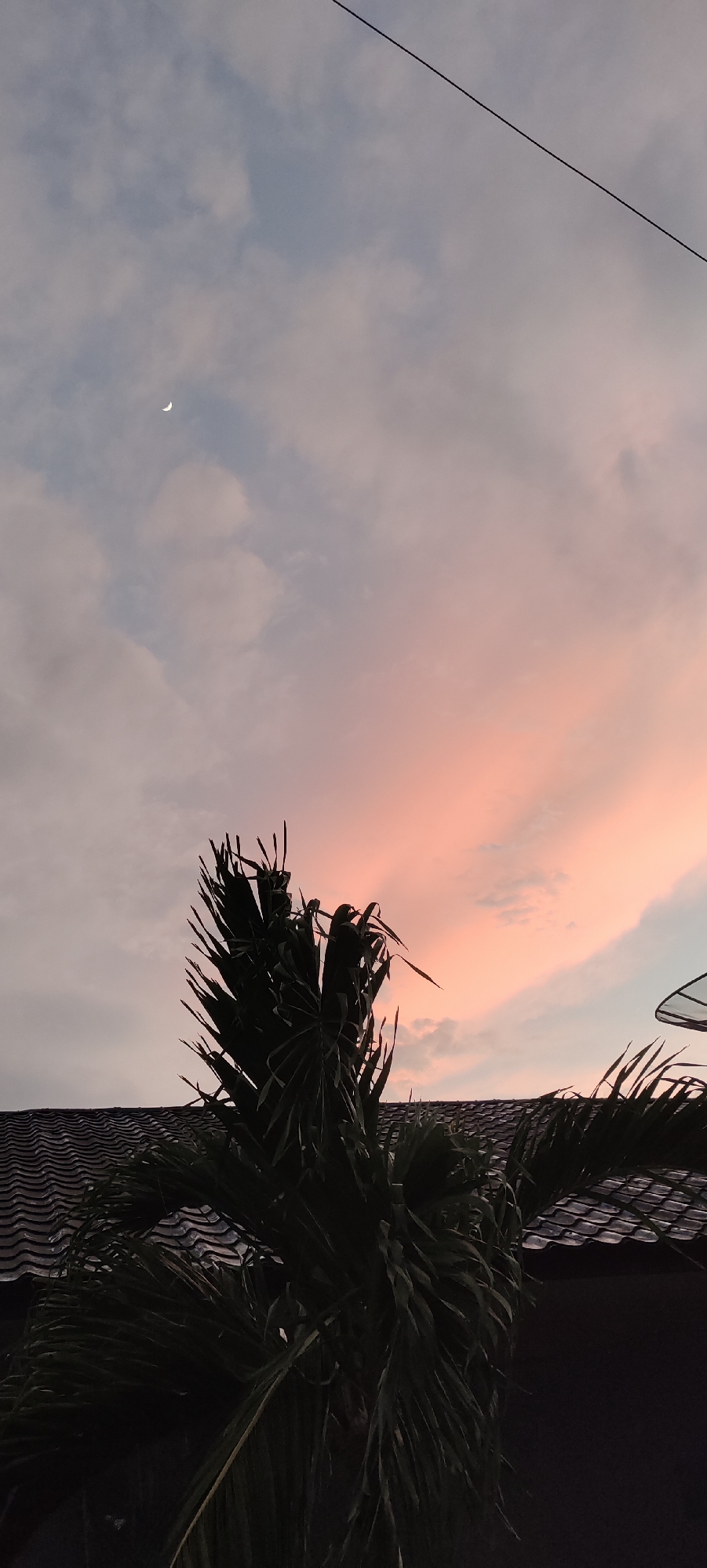 The image captures a twilight scene in Lhokseumawe, Indonesia. A crescent moon is visible in the pale blue sky, which is brushed with soft pink clouds, suggesting the end of the day. In the foreground, the dark silhouette of a palm tree dominates the frame, its fronds sharply defined against the colorful sky. Below the tree, the tiled roof of a building is visible, casting a shadow. A thin black wire stretches diagonally across the upper portion of the image, adding a stark linear element to the composition. The overall impression is one of serene, natural beauty observed from a residential area.