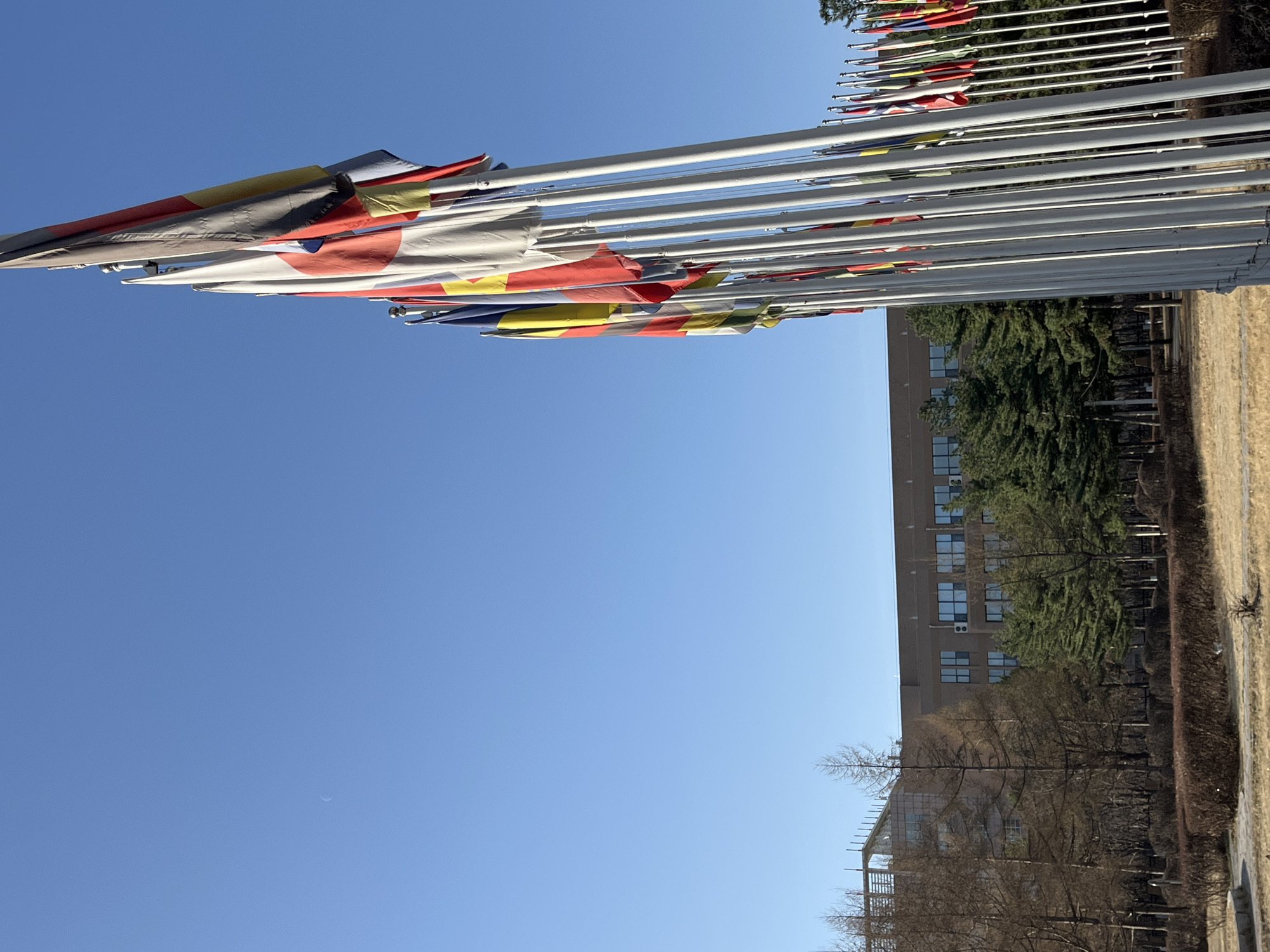 The image shows a row of flagpoles, with flags furled or partially unfurled on top. In the background is a large building with many windows, partially obscured by trees. The sky is clear and blue, and there is dry grassy terrain visible in front of the building. The location is Changchun City, China.