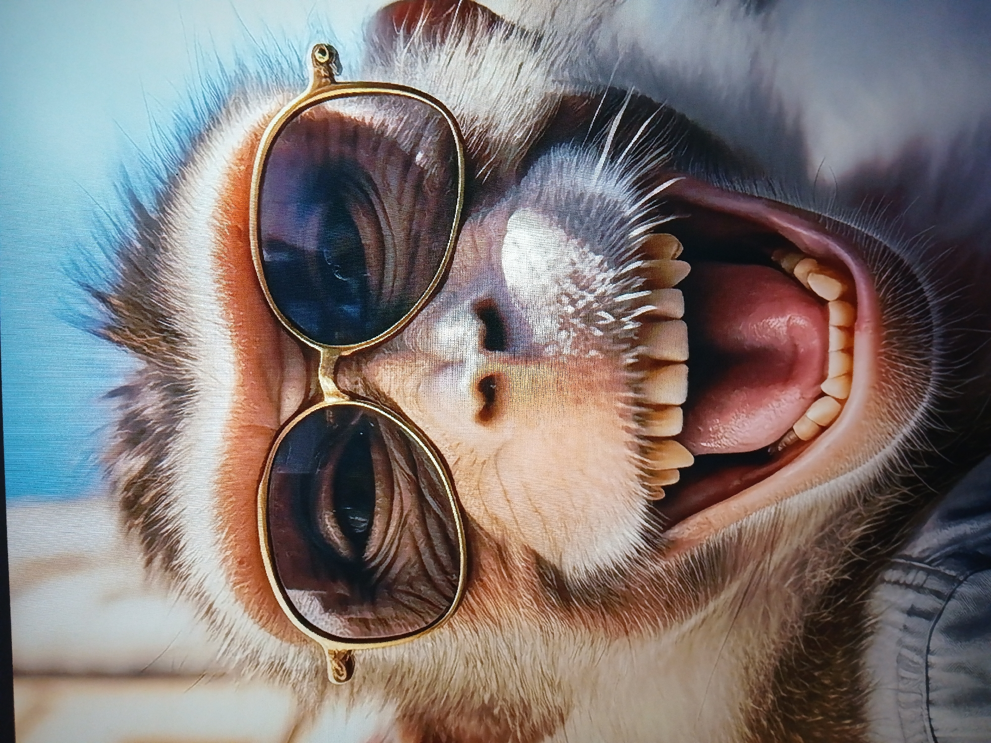 A close-up, head-on, extremely detailed photograph of a monkey wearing gold-rimmed sunglasses. The monkey's mouth is wide open in a grin, revealing its teeth and tongue. The lighting is bright, highlighting the fur and facial features of the monkey. The background is out of focus, appearing to be a blurry blue sky. The image appears to be digitally rendered or heavily edited to achieve such sharp detail and vibrant colors.