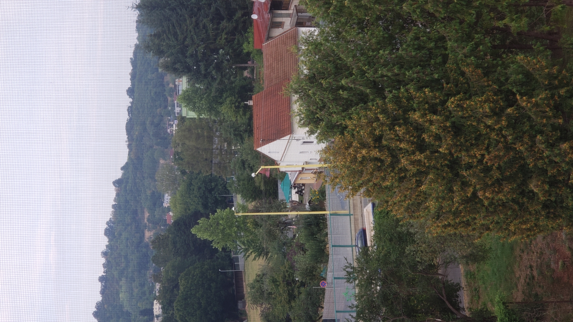 The image is a medium-angle shot taken from a window, looking out at a suburban or semi-rural area. The foreground is dominated by the dense foliage of a coniferous tree with yellowish-green needles, and other trees. In the midground, there is a white house with a red tiled roof, and another house with a red tiled roof to its right. A yellow lamppost with a white spherical light fixture stands near the white house. There is a green umbrella and some scooters visible behind the white house. A gray fence runs across the midground, separating the houses from a road. A dark colored car is parked on the road. In the background, there is a gentle, tree-covered hill under an overcast sky. The overall impression is one of a residential area with abundant greenery. The image appears to be taken in Prešov, Slovakia.