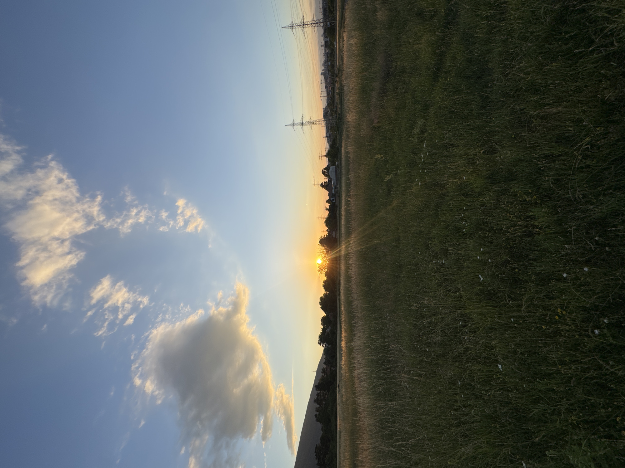This is a wide-angle, eye-level, landscape photograph of a field at sunset, likely on the outskirts of Sofia, Bulgaria. The foreground is dominated by tall, dry grass, with scattered small white and yellow wildflowers. In the mid-ground, a line of trees with dark green foliage stretches across the frame, interspersed with some houses. Beyond the trees, the sun is setting, casting a warm, golden glow and creating a sunburst effect with visible rays of light. To the left of the sun, a large, dark cloud is illuminated with golden light from above, contrasting with the blue sky. Further in the distance, several tall, lattice-like electricity pylons with wires are visible, along with buildings and construction cranes, suggesting the proximity of urban development. The sky transitions from a deep blue at the top to a lighter, warmer hue near the horizon. The overall impression is one of a rural landscape meeting an urban fringe at dusk.