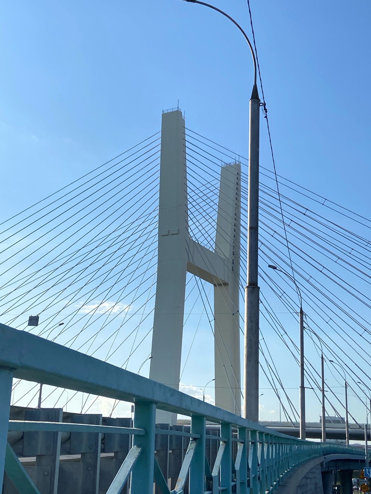 The image captures a view of a cable-stayed bridge in Novosibirsk, Russia, likely the Bugrinsky Bridge given its distinctive design. The prominent white towers of the bridge are visible against a clear blue sky. A multitude of cables fan out from the towers, supporting the bridge deck. In the foreground, a light blue metal railing runs along the edge of what appears to be an elevated walkway or the bridge itself. Several lampposts are also visible, including a tall one curving over the scene. The overall scene is a daytime exterior shot, bathed in sunlight.