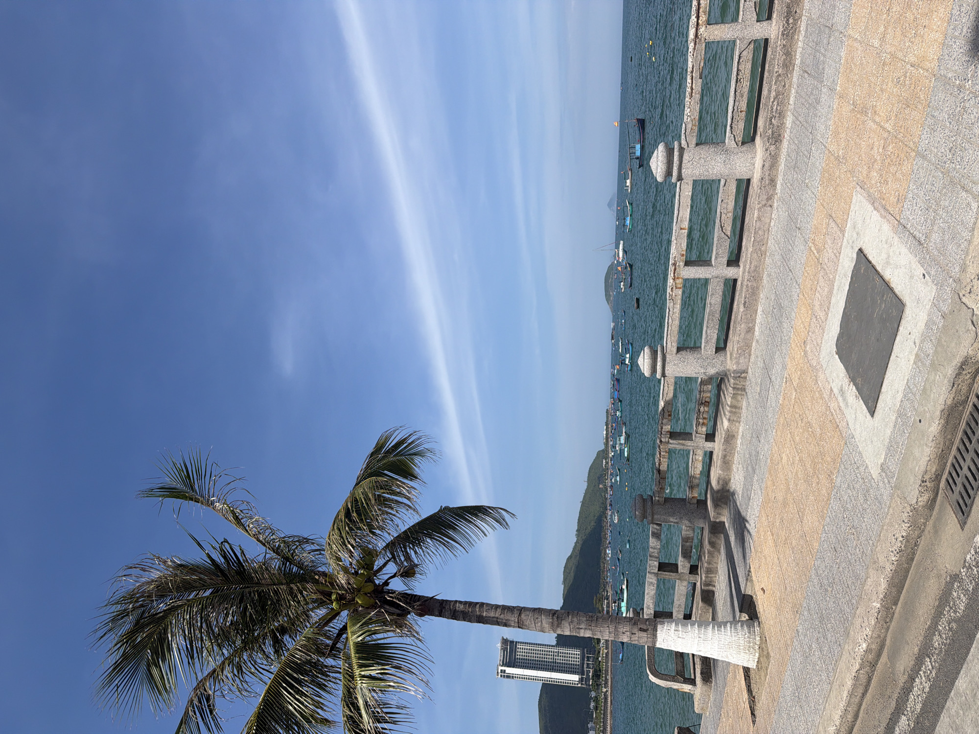 A view of Nha Trang Bay from a promenade in Bac Nha Trang Ward, Vietnam. The foreground features a paved walkway with a stone railing overlooking the water. A palm tree stands to the left, its fronds reaching towards the blue sky dotted with wispy clouds. In the distance, numerous boats are anchored in the bay. The background shows a coastline with green hills and a tall, modern building. The water is a vibrant turquoise, and the sky is clear and bright. The scene is bathed in sunlight, creating clear shadows on the promenade.