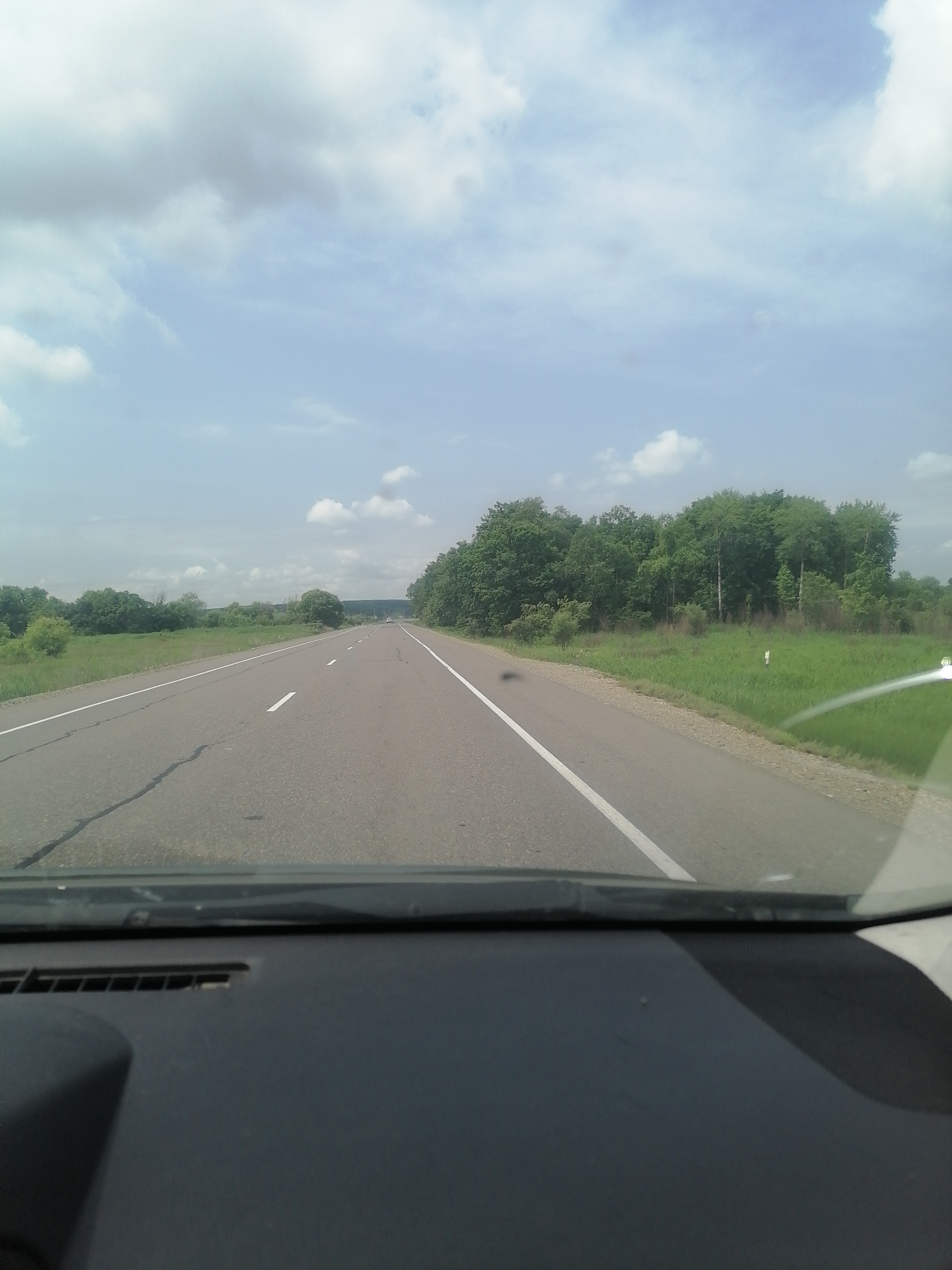 The image shows a view from the driver's seat of a car on a paved road in Dalnerechensk, Russia. The road has a white dashed line dividing the lanes and a white line on the right shoulder. The surrounding environment is characterized by a grassy field on the left and a dense forest of green trees on the right. The sky is partly cloudy with white and gray clouds against a light blue background. The dashboard of the car is visible in the foreground, with a black surface and a vent. There are no people or other vehicles clearly visible on the road or in the immediate vicinity. The scene appears to be a typical highway landscape in a rural or semi-rural area.