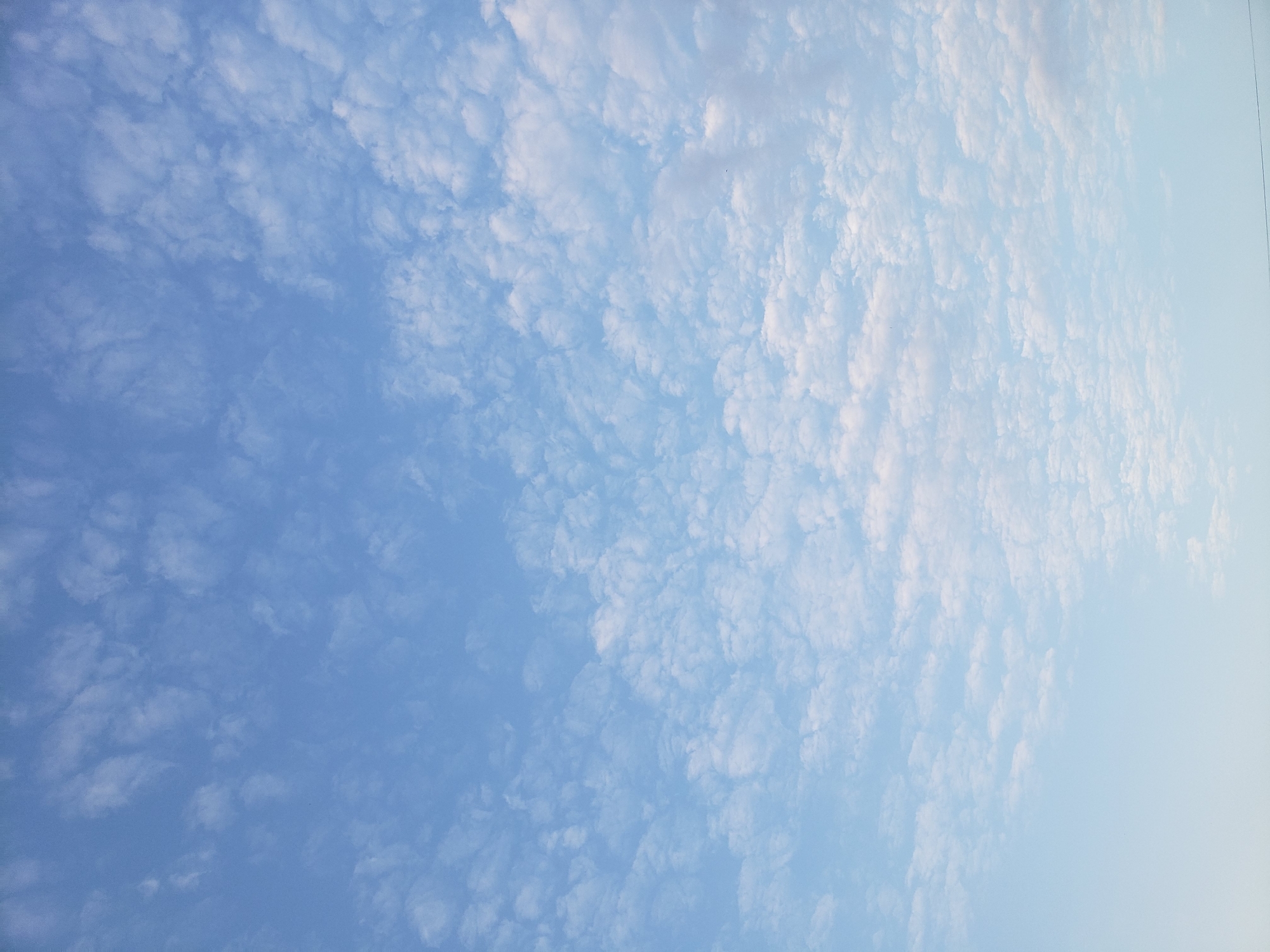 The image depicts a wide expanse of the sky over Narayi, Nigeria. The sky is a pale blue, transitioning to a lighter shade near the horizon. It is filled with numerous small, scattered white clouds, characteristic of altocumulus or cirrocumulus formations. These clouds are not dense and do not obscure the blue sky significantly. There are no visible people, buildings, or specific landmarks in the frame, making it a general sky view. The environment is solely the atmosphere, with the hint of a faint horizontal line in the lower right corner, possibly a power line or distant wire. The lighting suggests it is daytime, likely mid-morning or late afternoon, given the soft illumination of the clouds.