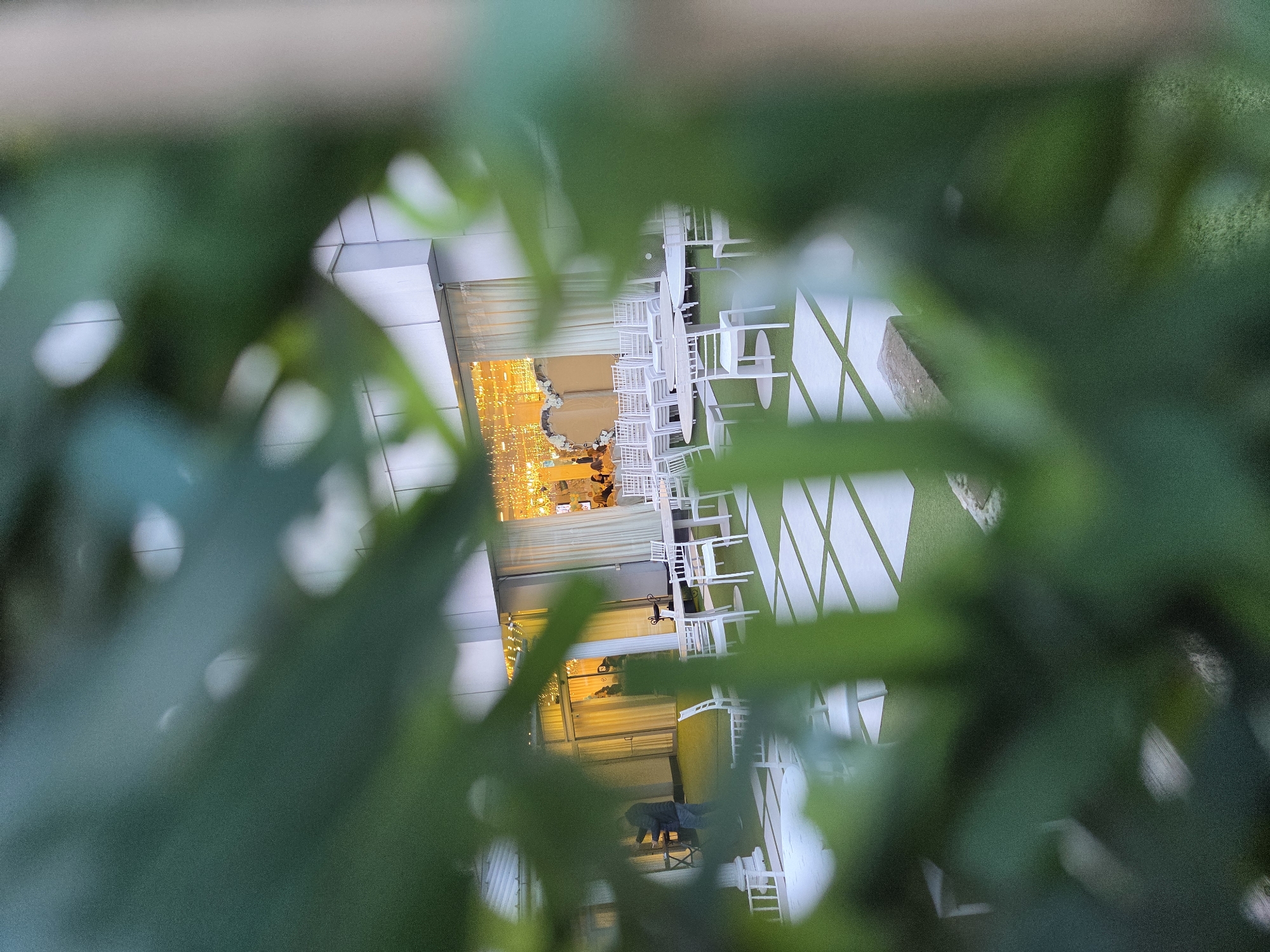 Through a partial screen of blurred green foliage, a horizontally-oriented exterior scene depicts a possible outdoor event or gathering at a location in Pleven, Bulgaria. The lighting suggests dusk or evening. Tables and chairs are arranged on a light-colored surface, possibly a terrace or patio. Some tables appear set for dining. The chairs are white, adding contrast. In the background, a building with glass windows and an illuminated interior is seen. The light emitting suggests possible decorative elements like lights. People are indistinct but present near the building's interior. The foliage in the foreground is dense, creating a partial obstruction of the main scene.