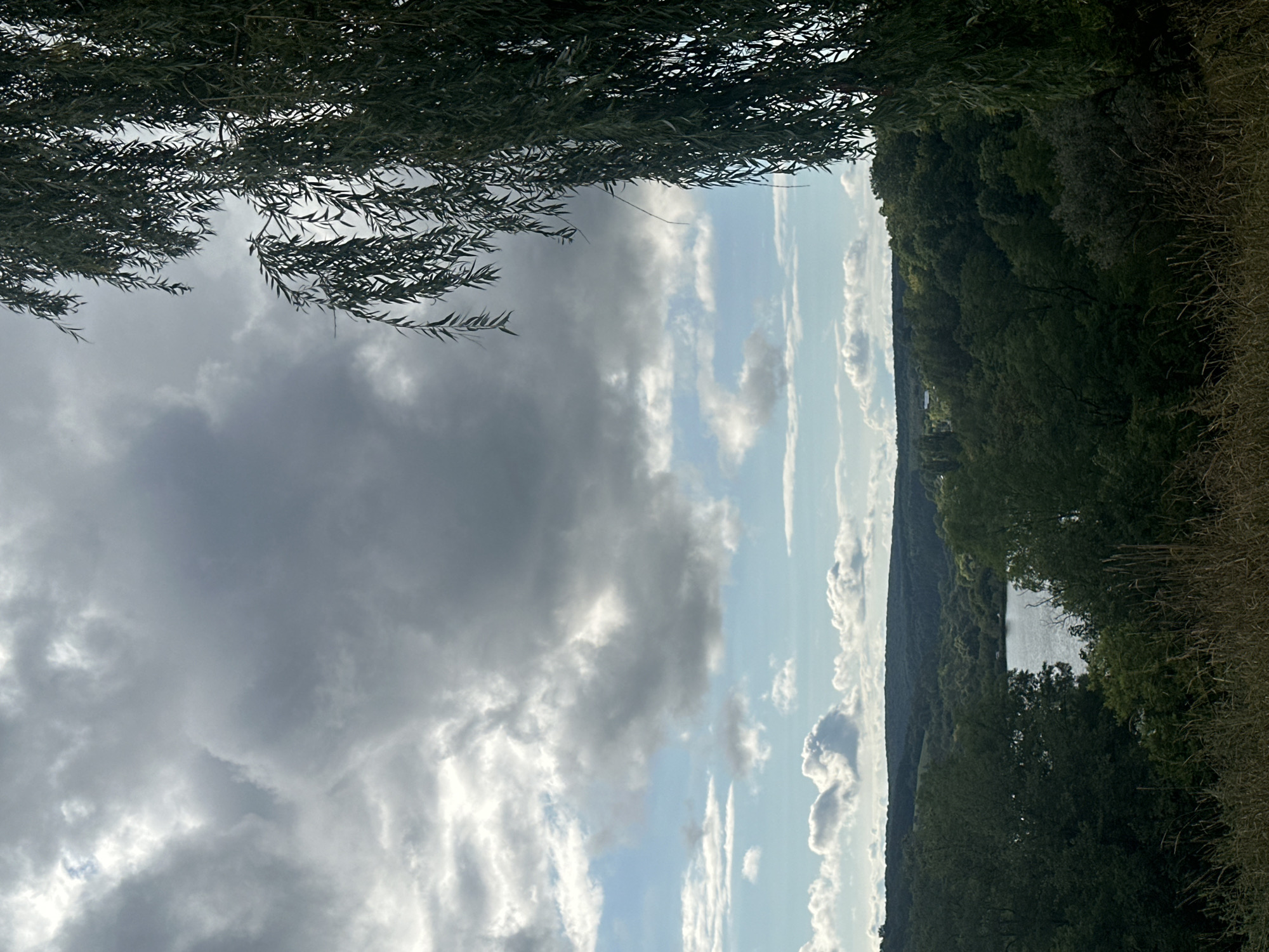 This is an outdoor, vertical, medium-shot photograph taken from a slightly elevated position, looking out over a serene landscape. The foreground is dominated by dry, brown grass and what appears to be a portion of a hill covered in the same vegetation. A weeping willow tree is visible on the right side of the frame, its long, slender leaves cascading down.
In the mid-ground, a dense, verdant forest covers rolling hills, with a tranquil body of water, possibly a lake or a wide river, nestled within the trees. The water reflects the sky, which is a mix of dramatic, heavy grey clouds interspersed with patches of bright blue sky and scattered white clouds. The sky suggests an overcast or possibly a break in the weather.
The overall atmosphere of the image is peaceful and natural, evoking a sense of rural beauty. The scene is likely located in the outskirts of Makiv, Ukraine, given the rolling terrain and abundant forestation typical of the region. There are no people or animals visible in the photograph. The lighting indicates it's daytime, likely late morning or afternoon, with sunlight filtering through the clouds.