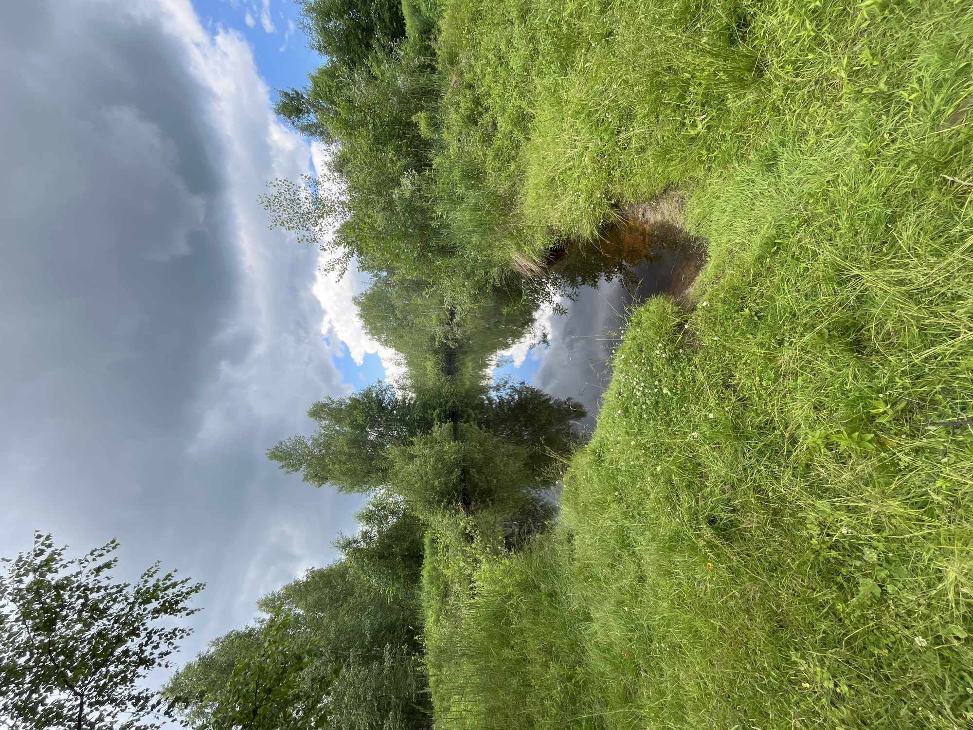 The image depicts a natural scene, likely in a rural or undeveloped area, not within the city of Нагорный, Russia, as there are no urban features visible. The foreground is dominated by lush, green grass with scattered small white wildflowers. A narrow, dark body of water, possibly a stream or pond, occupies the center-right of the image, its surface reflecting the overcast sky. The water's edge is lined with more dense green vegetation and tall grasses. In the background, a dense line of deciduous trees with vibrant green foliage stretches across the horizon. Above the trees, the sky is a dramatic mix of dark, heavy clouds and patches of bright blue sky with scattered white clouds, suggesting variable weather conditions. The overall impression is one of a tranquil, natural landscape under a dynamic sky.