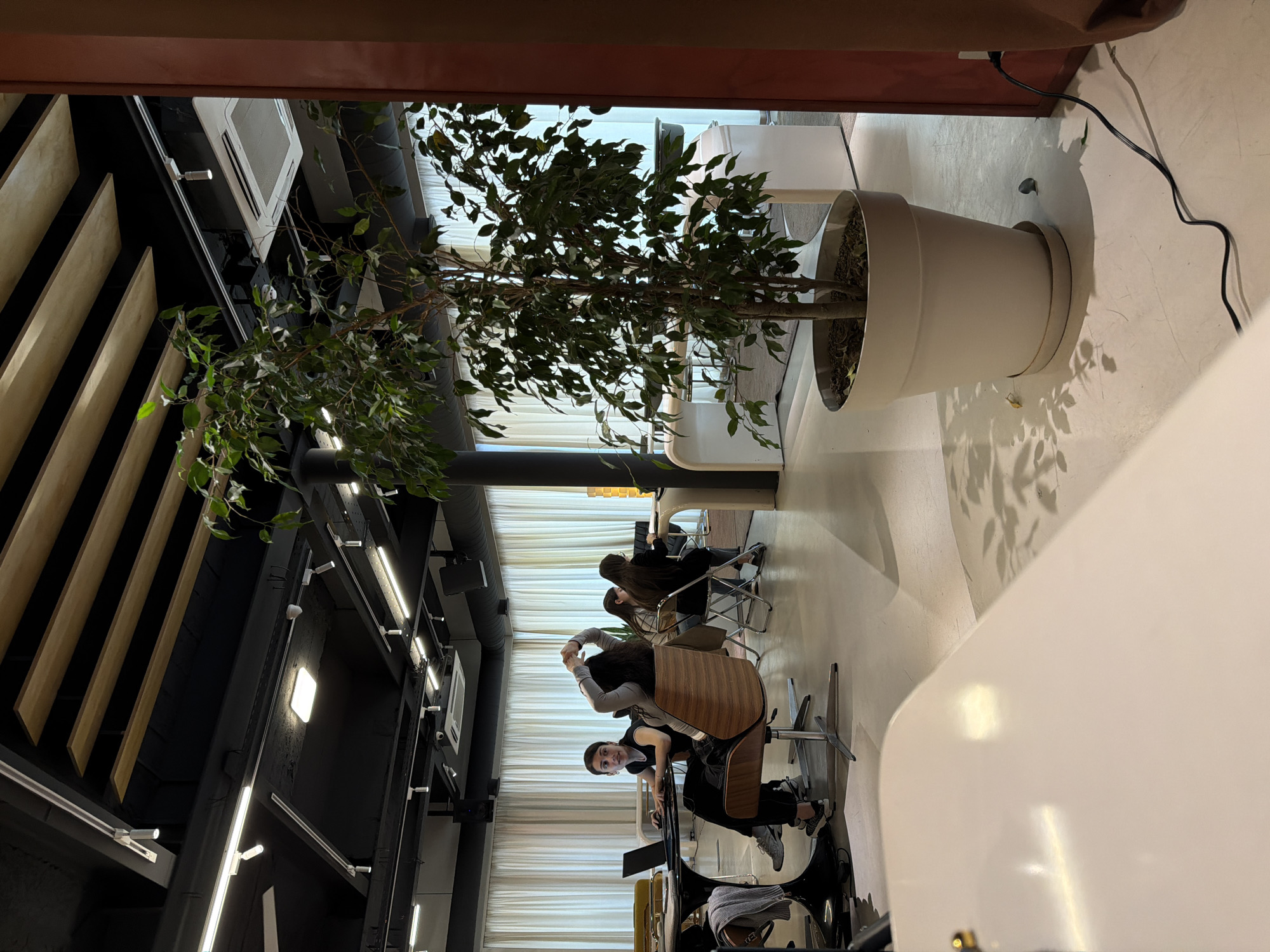 The image shows an interior space in Yerevan, Armenia, populated with individuals engaged in various activities. Dominating the foreground is a large potted tree positioned to the left of the frame. Several people are seated at tables within the room; some are working on laptops while others are seated in what seems to be a cafe or co-working space. The decor includes minimalist design elements with white walls, contrasting with the black ceiling and fixtures. Natural light filters through large windows covered by thin white curtains. The lighting is a combination of natural and artificial light from modern track lighting and suspended fixtures on the ceiling.