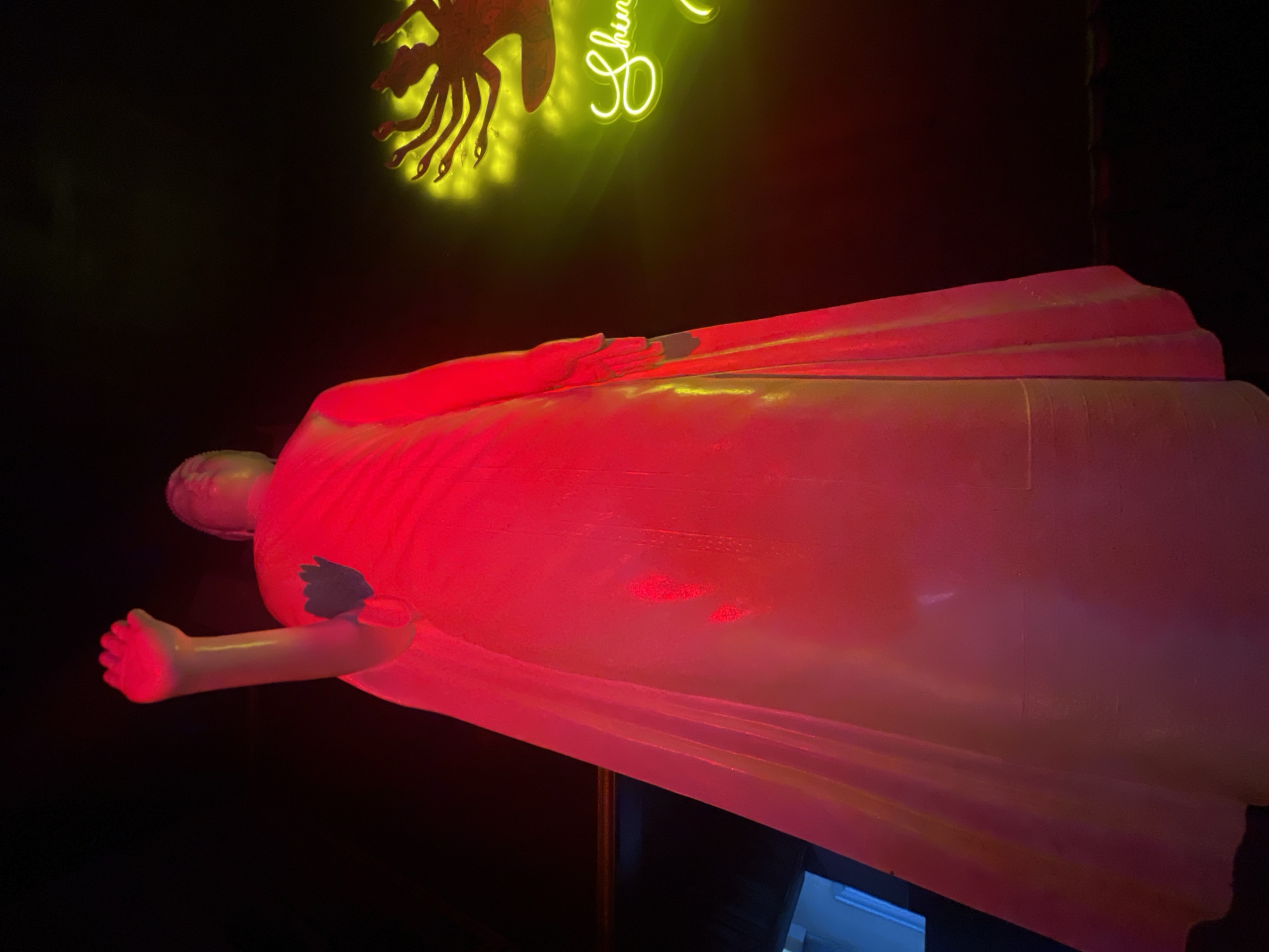 A horizontal, dimly lit, medium shot of a wax-figure mannequin statue of a figure wearing a gown. The figure is illuminated by red lighting. The head is on the left. It has a pale face and short haircut. The body of the wax figure is covered by a pale pink gown. The figure is positioned on an apparent display. In the background, toward the top, is a illuminated sign with neon lights. It features a silhouetted crustacean-like figure and some text. The exact location appears to be Playa del Carmen, Mexico.