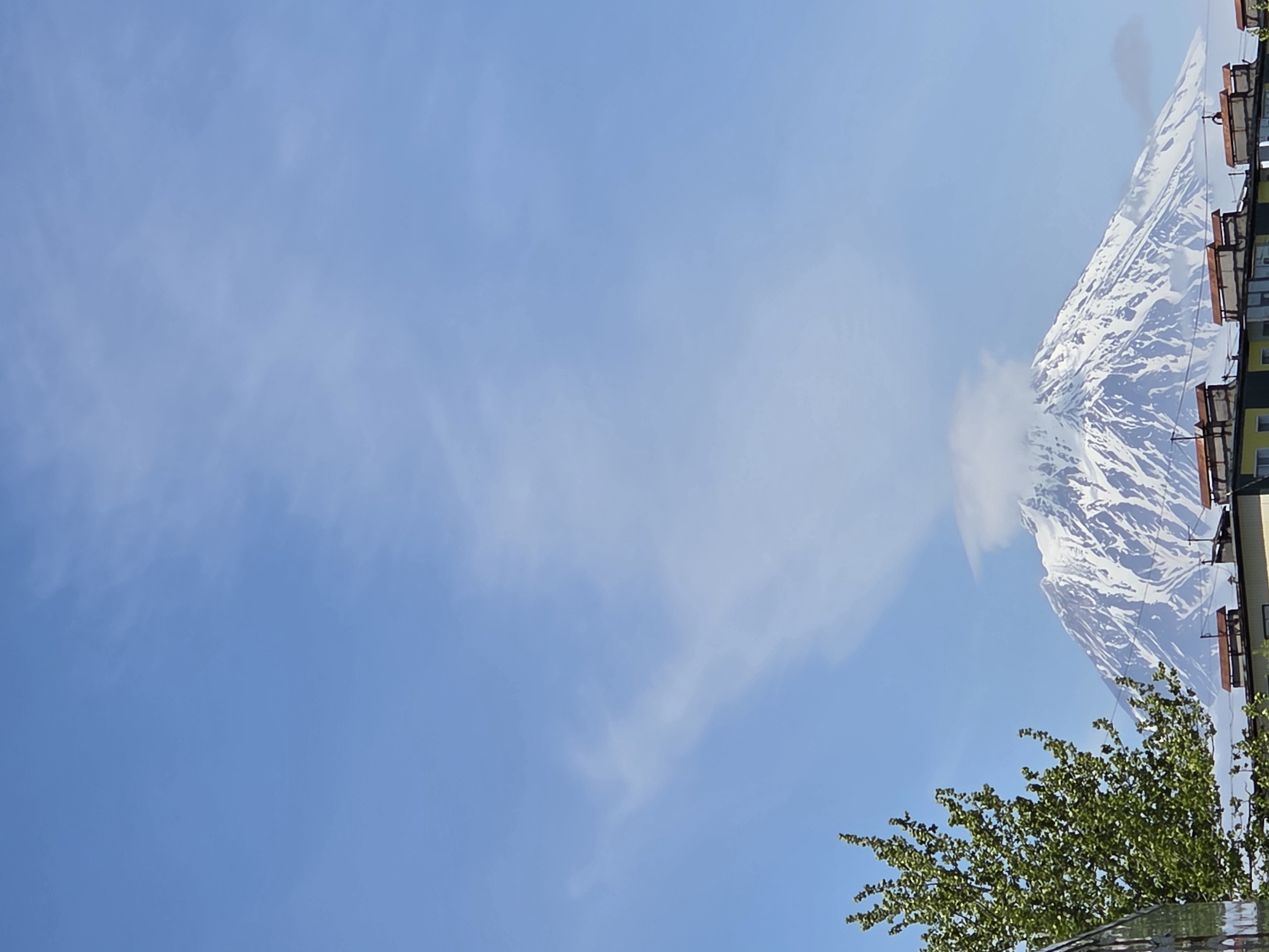 A snow-capped mountain looms in the background under a clear blue sky with wispy white clouds. In the foreground, the upper portions of several buildings with flat roofs and chimneys are visible, along with the left side of a leafy green tree. The mountain is the dominant feature, its slopes streaked with snow and shadow. The buildings are a muted yellow and appear to be residential or apartment structures. The tree is lush and vibrant, its leaves a bright green. The overall scene suggests an urban or suburban setting at the base of a prominent natural landmark.