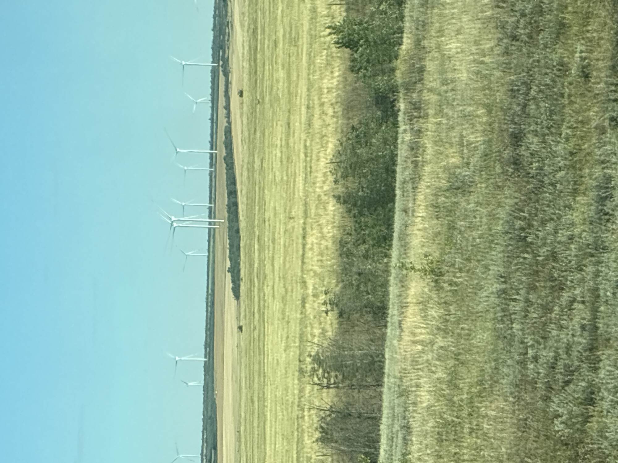 This image depicts a landscape scene with a clear blue sky. In the distance, a line of wind turbines stands against the horizon, suggesting an open, possibly rural, environment. The foreground and midground are dominated by fields of dry grass and scattered trees, indicative of a dry climate or season. The overall impression is one of a vast, open space with renewable energy infrastructure. The image does not provide specific details about people, actions, or interactions.