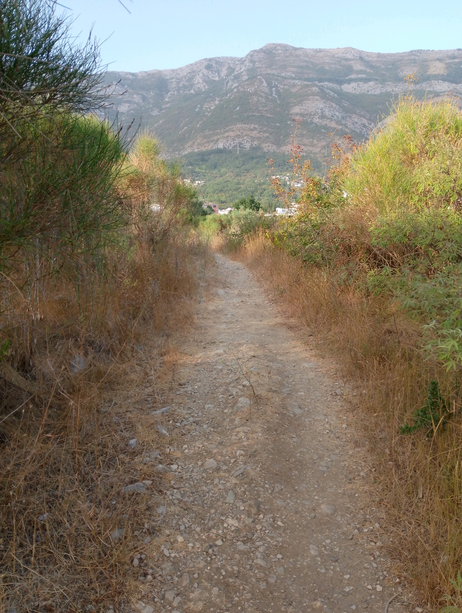 The image depicts a dirt path winding through dry grass and vegetation, leading towards a mountainous landscape under a clear sky. The path is composed of small stones and dirt. On either side of the path, dry, straw-like grass dominates, with some greener bushes and trees interspersed. In the distance, a town with white buildings is visible nestled at the foot of the mountains. The mountains themselves are rugged and covered in patches of vegetation. The overall scene suggests a rural or semi-rural environment, possibly in the outskirts of Sutomore, Montenegro, given the characteristic Mediterranean vegetation and mountainous backdrop often found in this region. There are no people or discernible actions taking place in the image.