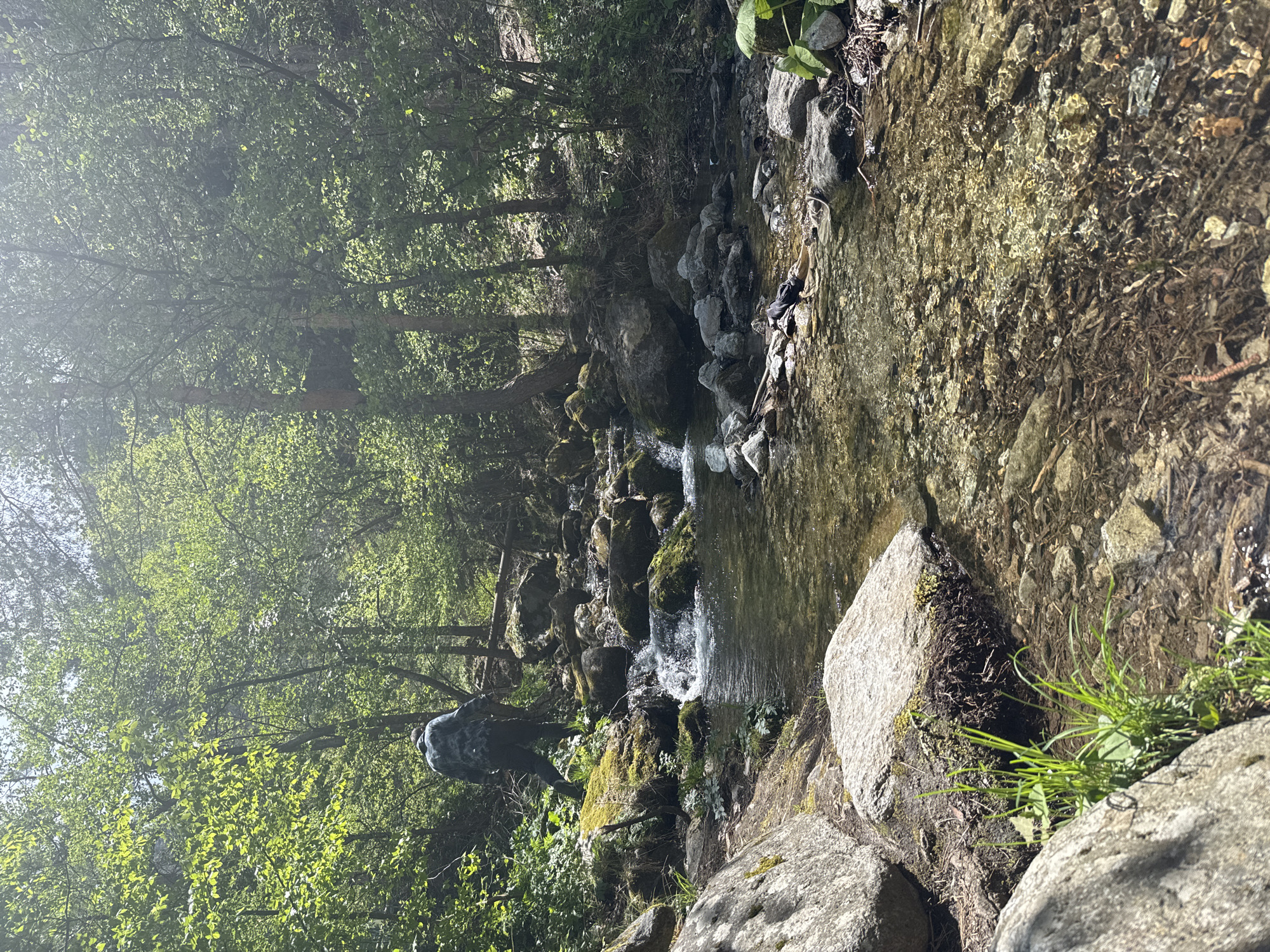 The photograph shows a stream flowing through a forest in Ovchartsi, Bulgaria. The stream cascades over moss-covered rocks. A person with a backpack stands on the stream bank, partially obscured by foliage. Trees with bright green leaves surround the stream. Boulders and grasses line the edge of the stream. The water is clear and shallow.