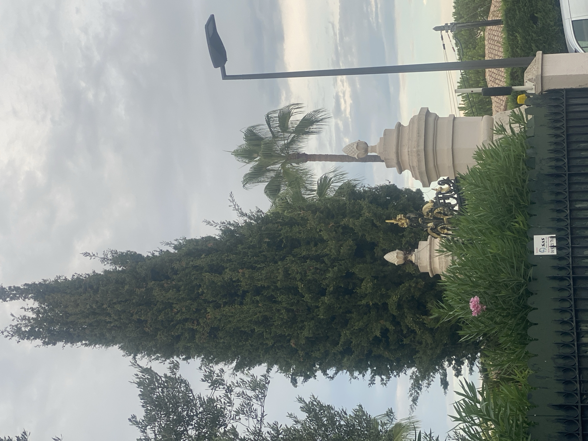 A tall, dark green cypress tree dominates the center of the image, with its pointed top reaching towards a cloudy sky. To its right, a palm tree with fronds is visible. In the foreground, a dense green bush with a few pink flowers peeks out from behind a black metal fence. Two decorative stone pillars topped with pinecone-like finials stand at either side of the fence. A street lamp with a dark angled fixture is positioned to the right of the palm tree, and an electrical pole with wires is visible in the background, above a tiled roof. A security sign with French text and a phone number is attached to the fence. A sliver of a white vehicle is visible on the far right edge of the frame. The scene appears to be outdoors in a residential area.
