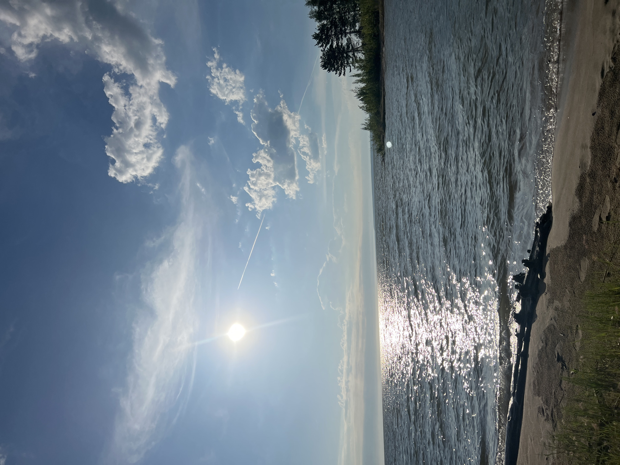 A bright sun shines through a blue sky with scattered white clouds. The sun's rays reflect off the choppy water of a large lake. In the foreground, a sandy beach is covered with green grass and a large piece of driftwood. To the right of the frame, a line of dark green pine trees stands against the horizon. The scene appears to be a natural landscape, possibly in the vicinity of Borovoe, Russia, known for its picturesque lakes and forests. There are no people or visible signs of human activity other than the driftwood.
