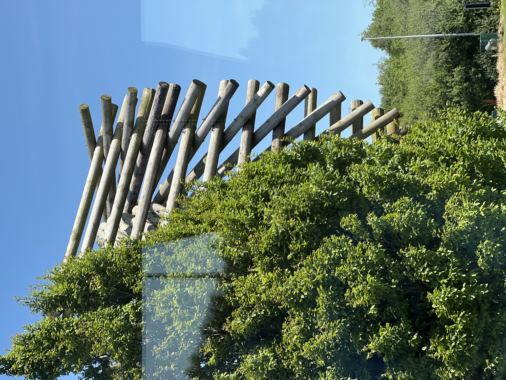 The image shows a modern wooden sculpture composed of numerous logs arranged in a diagonal, layered pattern. The sculpture is positioned outdoors against a clear blue sky. In the foreground, a dense, vibrant green tree partially obscures the left side of the sculpture. The tree has many small leaves and appears healthy.
The sculpture itself consists of weathered wooden logs of varying thickness, connected by metal fasteners. The logs are oriented at different angles, creating a dynamic and visually interesting structure. The right side of the image reveals a reflection on what appears to be a glass surface, showing a distorted view of the tree and the sky. Beyond the sculpture and the tree, a landscape of green foliage and trees is visible, suggesting an outdoor park or natural setting. In the far background, a tall, slender pole, possibly a lamppost or flagpole, is visible on the right side of the image, amidst the trees.
Regarding the location in Letterkenny, Ireland, this type of modern, sculptural artwork is often found in public parks or designated art installations. Without further context or specific markers within the image, pinpointing the exact location in Letterkenny is not possible. However, based on the presence of lush greenery and a contemporary outdoor sculpture, it is likely situated in a well-maintained public space, such as a park or a municipal area known for its art and landscaping.