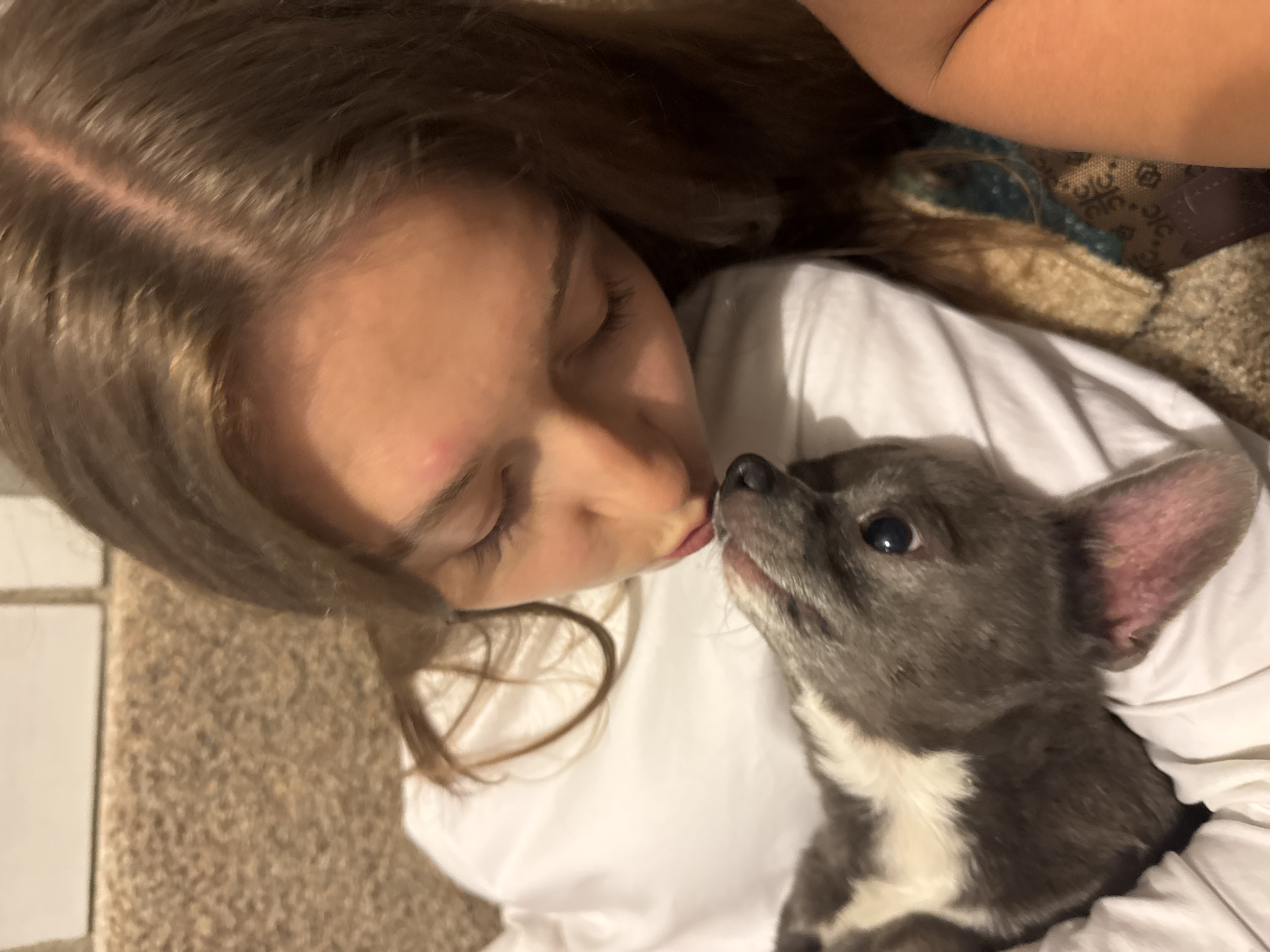 A young Caucasian female with long, brown hair is shown from the chest up, leaning down to kiss a small grey and white puppy. The girl is wearing a white t-shirt. The puppy is cradled in her arms, its head tilted upwards towards her face. The background is blurred, appearing to be a textured surface, possibly a sofa, with hints of a patterned fabric. There is no identifiable information suggesting this scene is located in Izhevsk, Russia.