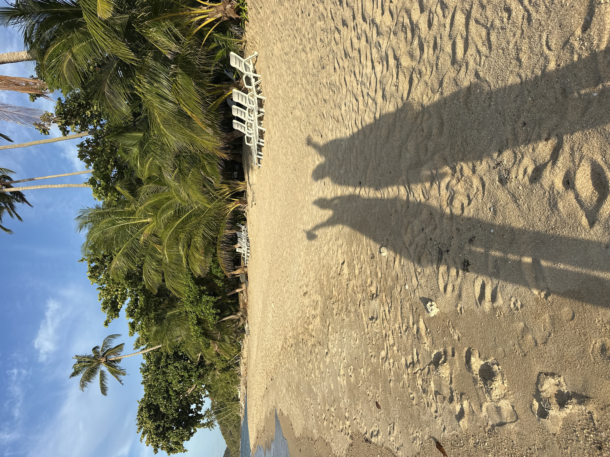 The image depicts a sunlit beach scene on Ko Samui District, Thailand. In the foreground, two distinct shadows of people with raised arms are cast on the golden sand, suggesting they are taking a photo or posing. The sand is marked with numerous footprints, indicating recent human activity. To the right, a row of four empty white lounge chairs sits beneath the shade of palm trees, suggesting a resort or public beach area. Beyond the chairs, a dense line of lush green palm trees and other tropical foliage forms a backdrop, meeting a clear blue sky with scattered wispy clouds. The gentle lapping of waves is implied by the wet sand and a small area of water visible on the left side of the frame. The overall atmosphere is one of tropical tranquility and leisure.