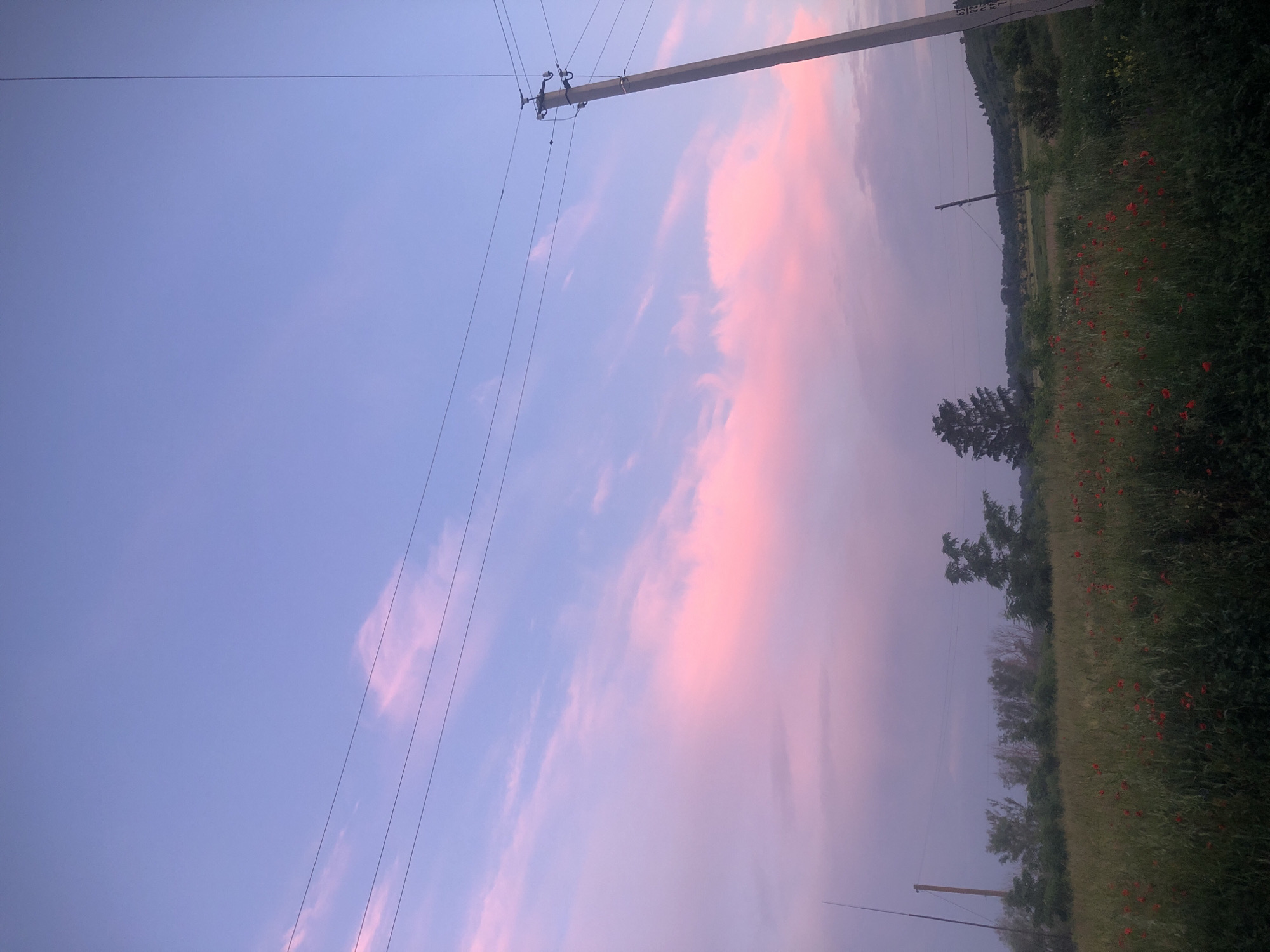 The image depicts a rural landscape at dusk. The sky is a soft gradient of blue and pink, with wispy clouds catching the fading sunlight. A utility pole with wires stretches diagonally across the frame, adding a man-made element to the natural scene. To the right, a field of tall green grass is dotted with vibrant red poppies, creating a striking contrast. In the distance, rolling hills are covered in trees, their silhouettes softened by the twilight. The overall mood is serene and peaceful, evoking a sense of calm and tranquility. The time of day is clearly indicated by the sky's colors and the soft lighting. There are no people visible in the image.