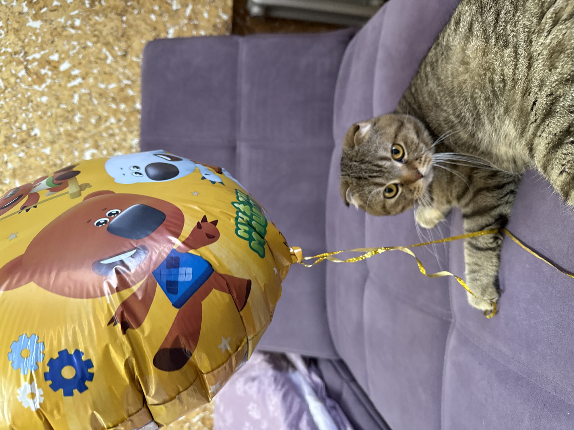 A close-up, angled shot features a Scottish Fold cat playing with a yellow balloon on a purple upholstered couch. The balloon is decorated with cartoon characters and blue gears. The cat is on its side, looking towards the balloon with focused eyes, and its paw rests on the balloon's gold ribbon. The scene appears to be indoors, with a partially visible wooden floor in the background.