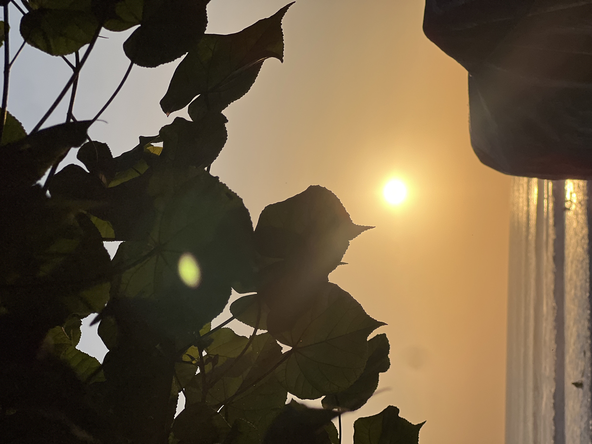An outdoor, medium-shot, eye-level, vertical, silhouette photograph captures the sunset at Kuta Beach, Bali, Indonesia. In the foreground, dark green leaves of a tree branch are silhouetted against the bright orange sky, obscuring a portion of the scene. The sun, a bright white orb, is visible in the mid-ground, slightly left of center, casting a warm glow over the sky and the ocean. The ocean is calm, with gentle waves lapping at the shore. A single, blurred human figure is visible in the water, appearing to be swimming or surfing. To the right of the frame, the dark silhouette of a large rock formation or structure is present. The overall atmosphere is serene and tranquil, with the natural beauty of the sunset dominating the scene.