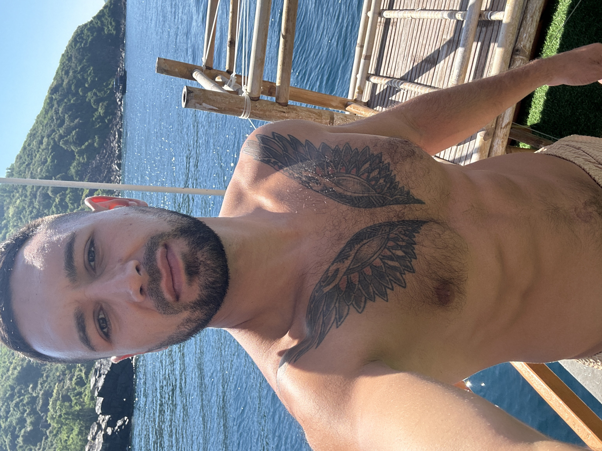 A shirtless man with a beard and a winged tattoo on his chest stands on a wooden deck with a body of water and a green, tree-covered hillside in the background. The water is blue and appears calm, with sunlight reflecting off its surface. The hillside is lush and verdant, with rocks visible along its base. A boat is partially visible in the distance. The man is looking towards the camera. The setting appears to be a tropical or coastal environment.
