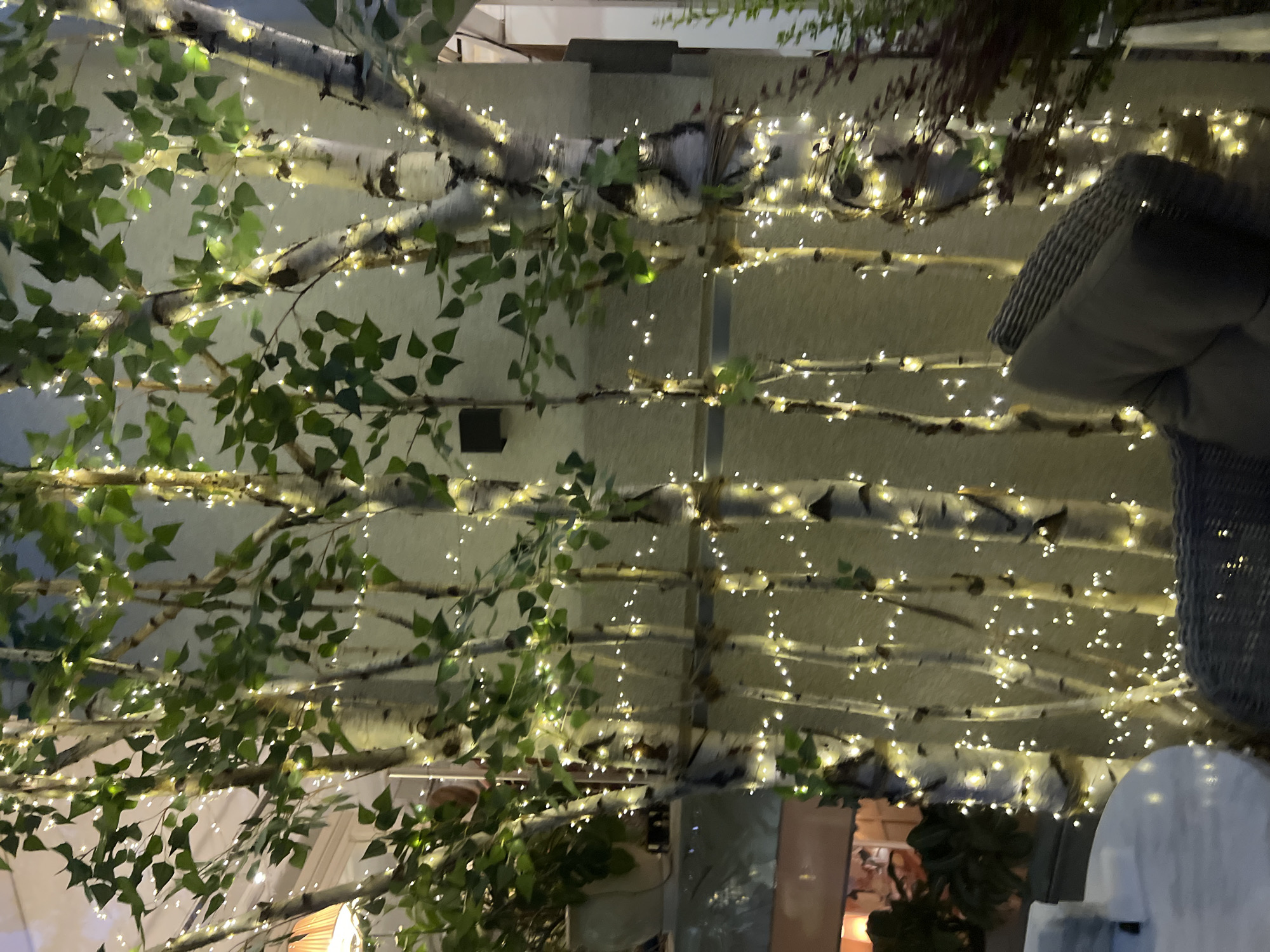 The image shows a close-up view of a decorative arrangement that resembles a tree or branches adorned with numerous small, warm-toned lights. Green leaves, some appearing artificial, are interspersed among the branches, adding to the botanical theme. The background consists of a textured, light-colored wall, possibly an outdoor or semi-outdoor setting. The lighting suggests it is nighttime or an indoor space with dimmed ambient light, as the fairy lights are the primary light source.
In the foreground and to the right, parts of outdoor furniture are visible, including a textured cushion on a chair and the top of another piece of furniture. The overall ambiance is cozy and festive, possibly indicating a commercial establishment like a restaurant, cafe, or event space decorated for an evening ambiance. The specific location in Krasnodar, Russia, adds a geographical context to the scene, though no specific landmarks or cultural indicators are immediately apparent within the frame. No text is visible in the image. The scene evokes a sense of relaxed or celebratory atmosphere due to the twinkling lights and foliage.