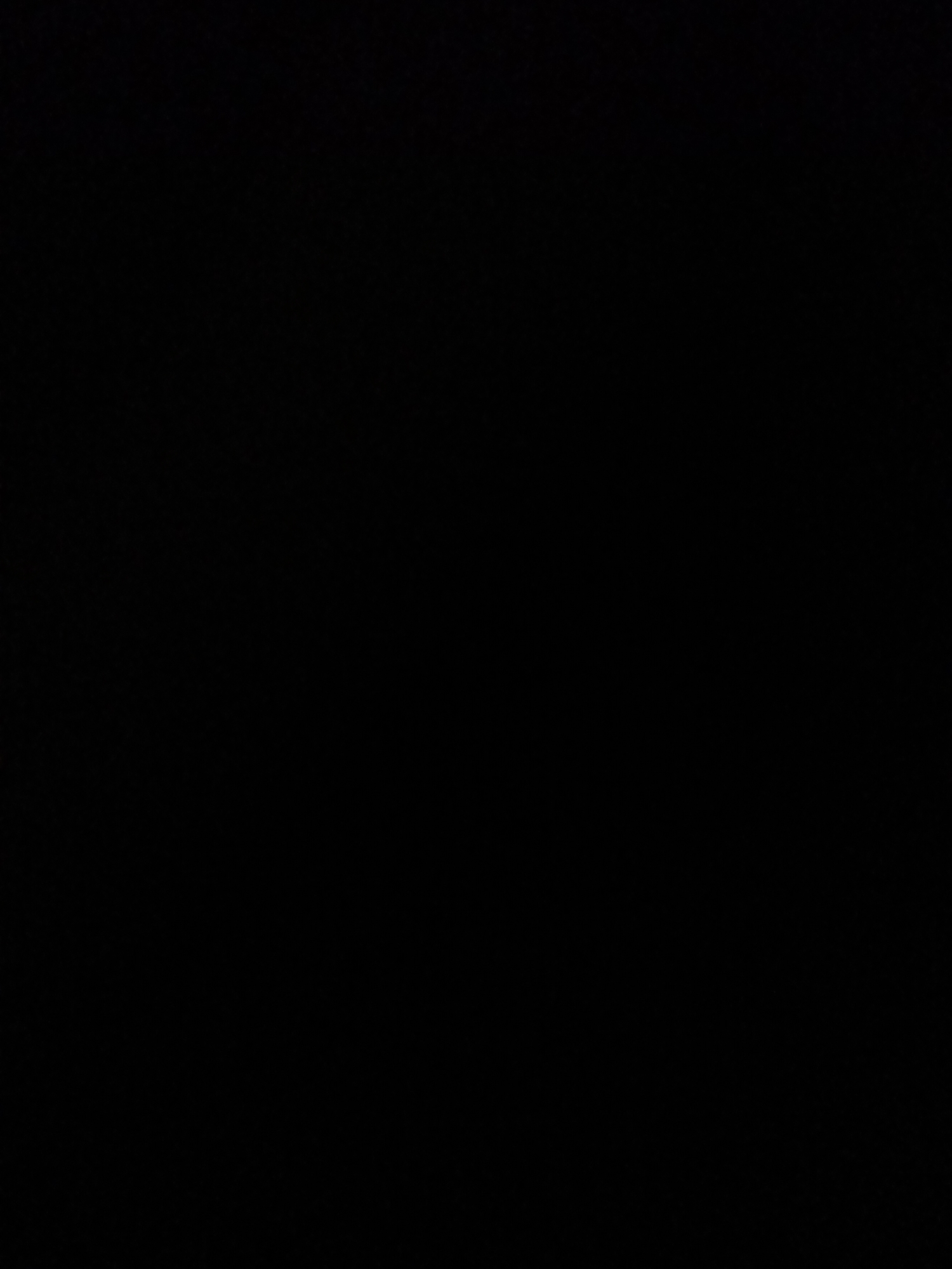The image is completely black, making it impossible to describe any subjects, activities, notable details, or visible text. The blackness suggests that the image may be corrupted, intentionally obscured, or a representation of complete darkness. Without any visual information, it's impossible to determine the scene, setting, or any other contextual elements.